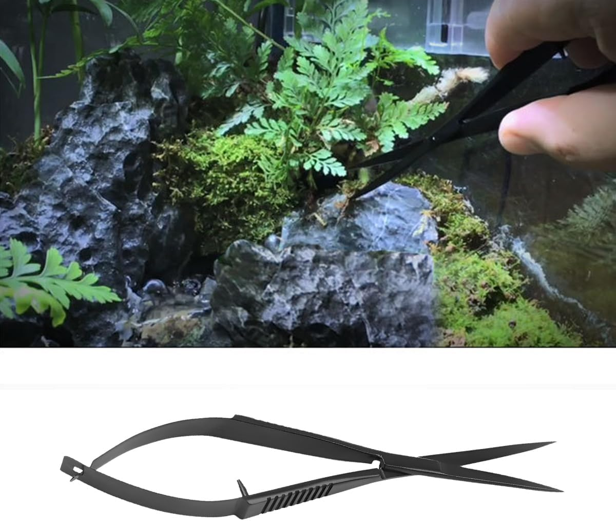 AIMALL Quarium Grass Tank Trimming Shears - Black Stainless Steel Spring Shears for Aqua Plants and Fish Tank Landscaping, 6.1 Inches - Silver-Straight image number 6