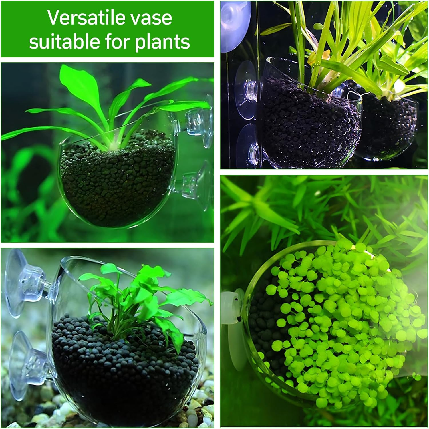 4 X Water Plants Aquarium Pot, 6 X 7 Cm, Plant Pot for Aquarium Glass with 8 Suction Cups, Plant Holder for Aquarium Plants, Decorative Aquarium Plants, Aquascape, Aquatic Glass Holder, Fish Tank,