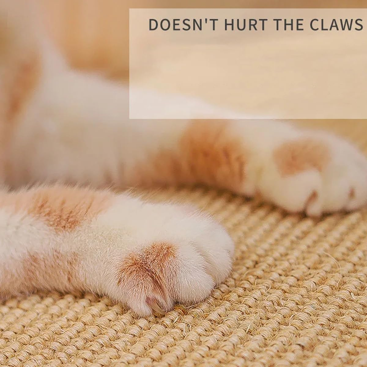 Cat Scratching Mat, Scratching Cardboard for Cats, Natural Sisal Scratching Mat, Cat Scratching Boards, Non-Slip Floor, Cat Scratching Furniture, Scratching Mat for Cats, Protects Carpets and Sofas image number 5