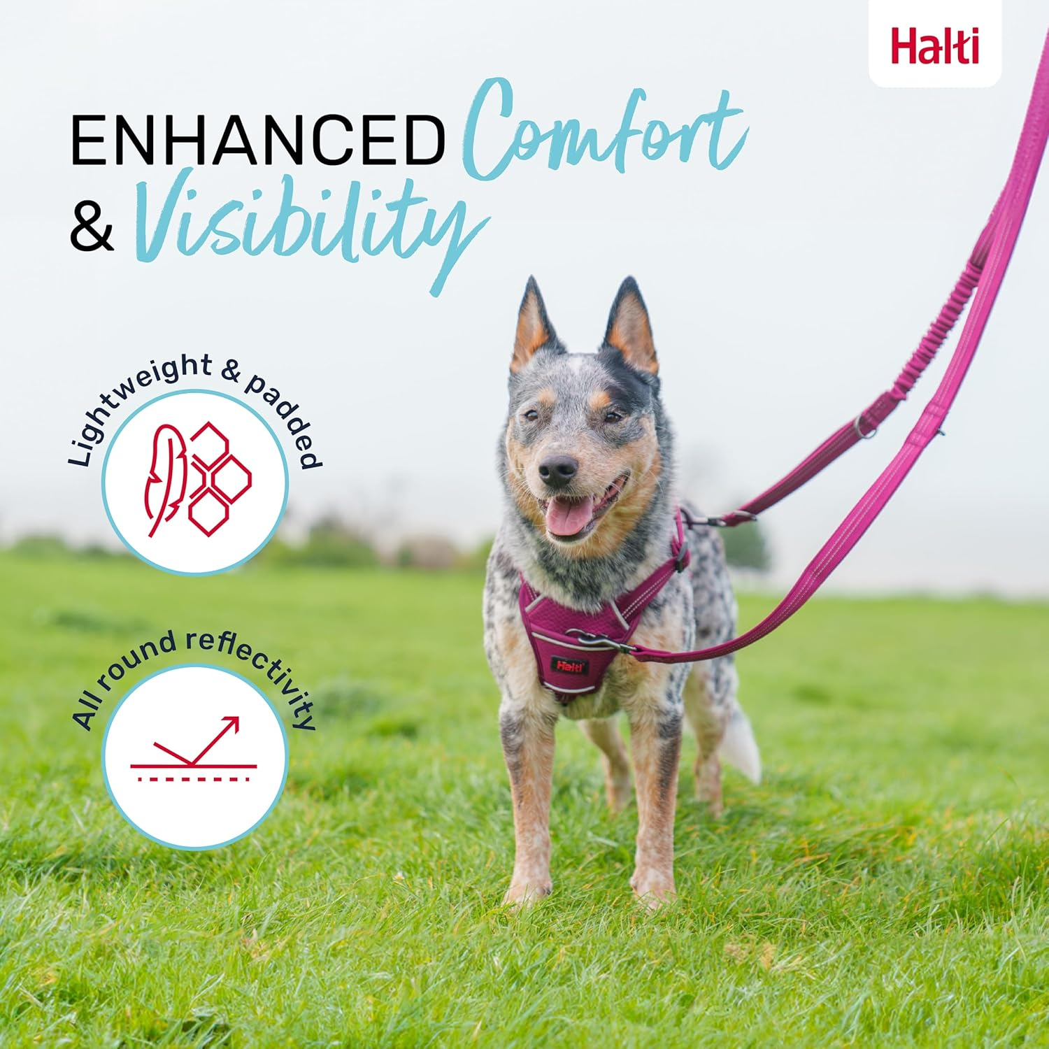 HALTI Anatomy Multifunctional Dog Lead &ndash; Shock Absorbing Double-Ended Lead, Ideal for Dog Walking & Training. Comfortable to Hold, Reflective & Lightweight. Suitable for Puppies (Size Large, Green) image number 2