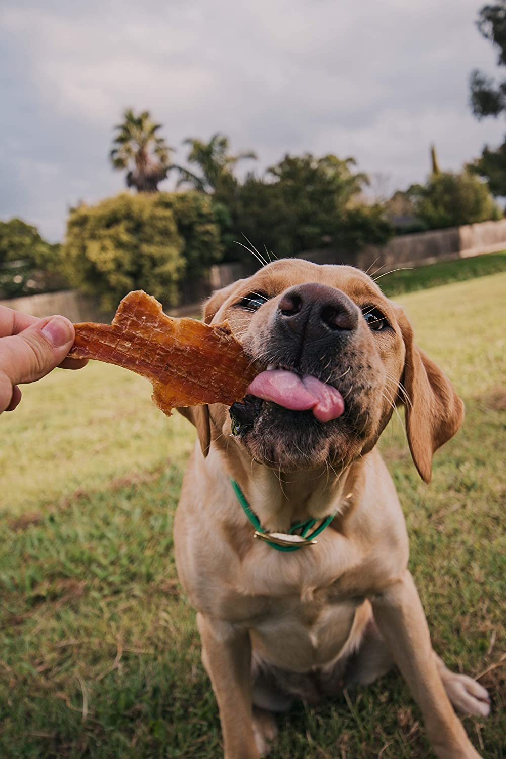 Chicken Breast 750G, Grain Free Natural Dog Treat Chew, Healthy Alternative Perfect for Training image number 3