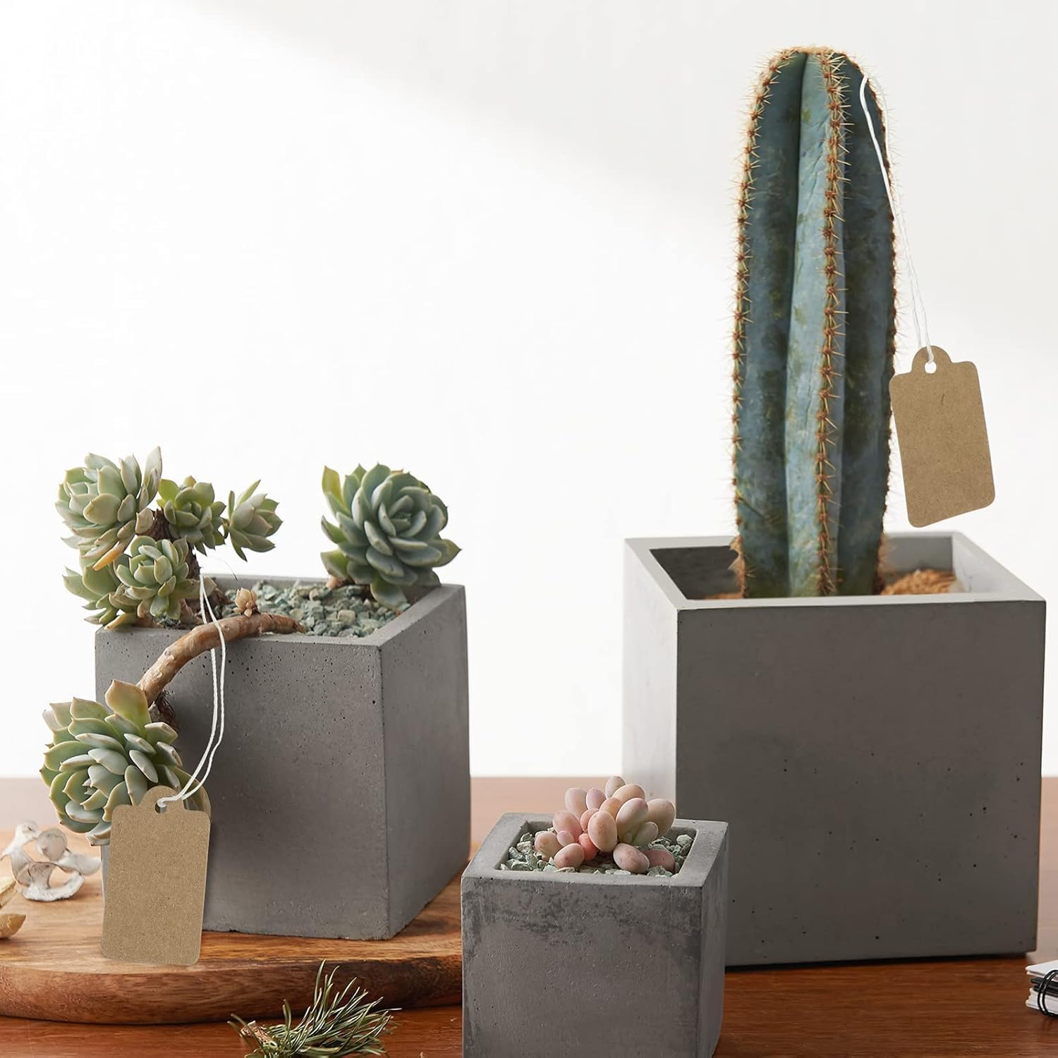 Price Tags with String, WADY 300 Pieces Kraft Paper Tie on Labels, Brown Marking Writable Tags Display Label, Tags with String Jewellery Strung Price Tags for Display Clothes Jewelry Gift (25X15Mm) image number 5