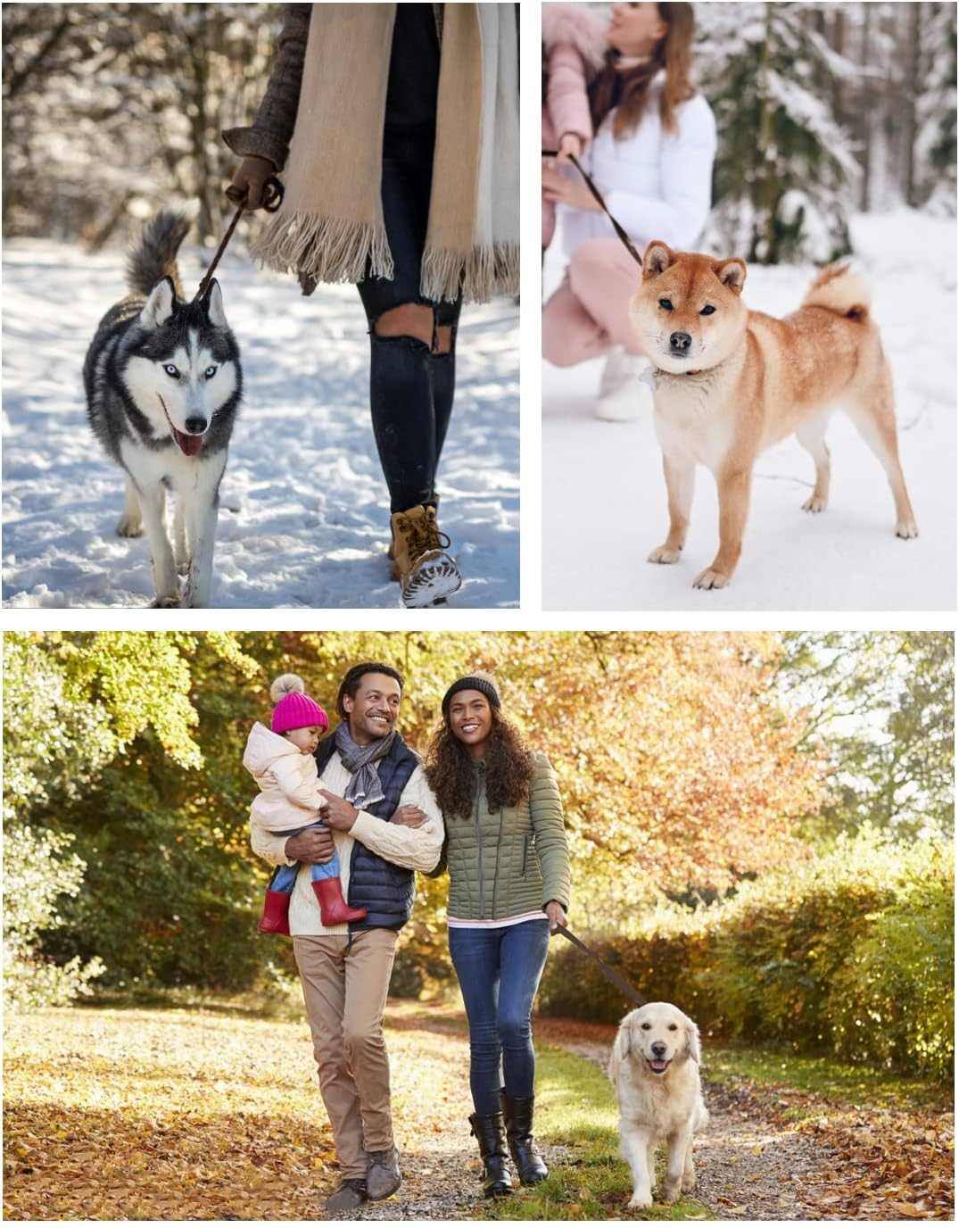 Vivi Bear Handmade Braided Genuine Leather Dog Leads for Large Dogs Training 0.7 Inch Wide by 8.5/6.9/5.2/4Ft Long, Dark Brown (8.5Ft Long). image number 2