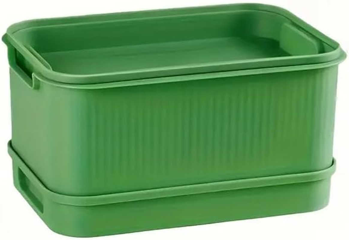 AIMALL Soilless Hydroponic Seedling Tray &ndash; Self-Watering Sprout Tray for Indoor Herb & Vegetable Planting, Double-Layer Design with Visible Water Reservoir