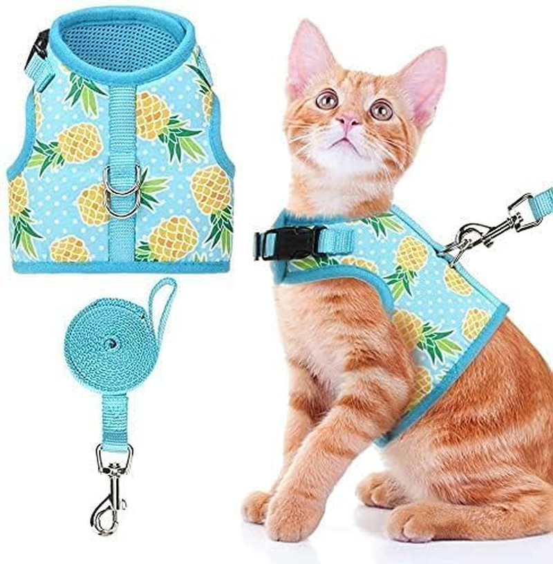 BINGPET Cat Harness - Mesh Cat Dog Walking Harness with Leash - Adjustable Cat Vest Harness for Kittens and Puppies - Pineapple image number 5