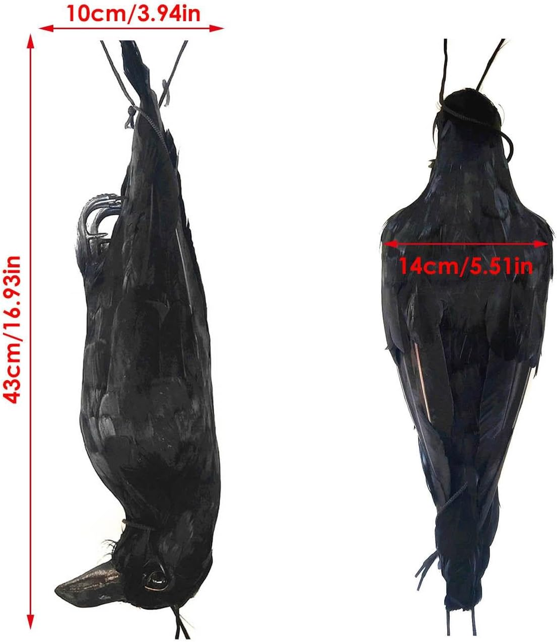 Hanging Dead Crow Bird Scarer,Crow Decoys,Rrealistic Crow Decor, Lifesize Black Feathered Crow Fake Black Crows for Garden Backyards Patios Doors Halloween Decorations image number 2
