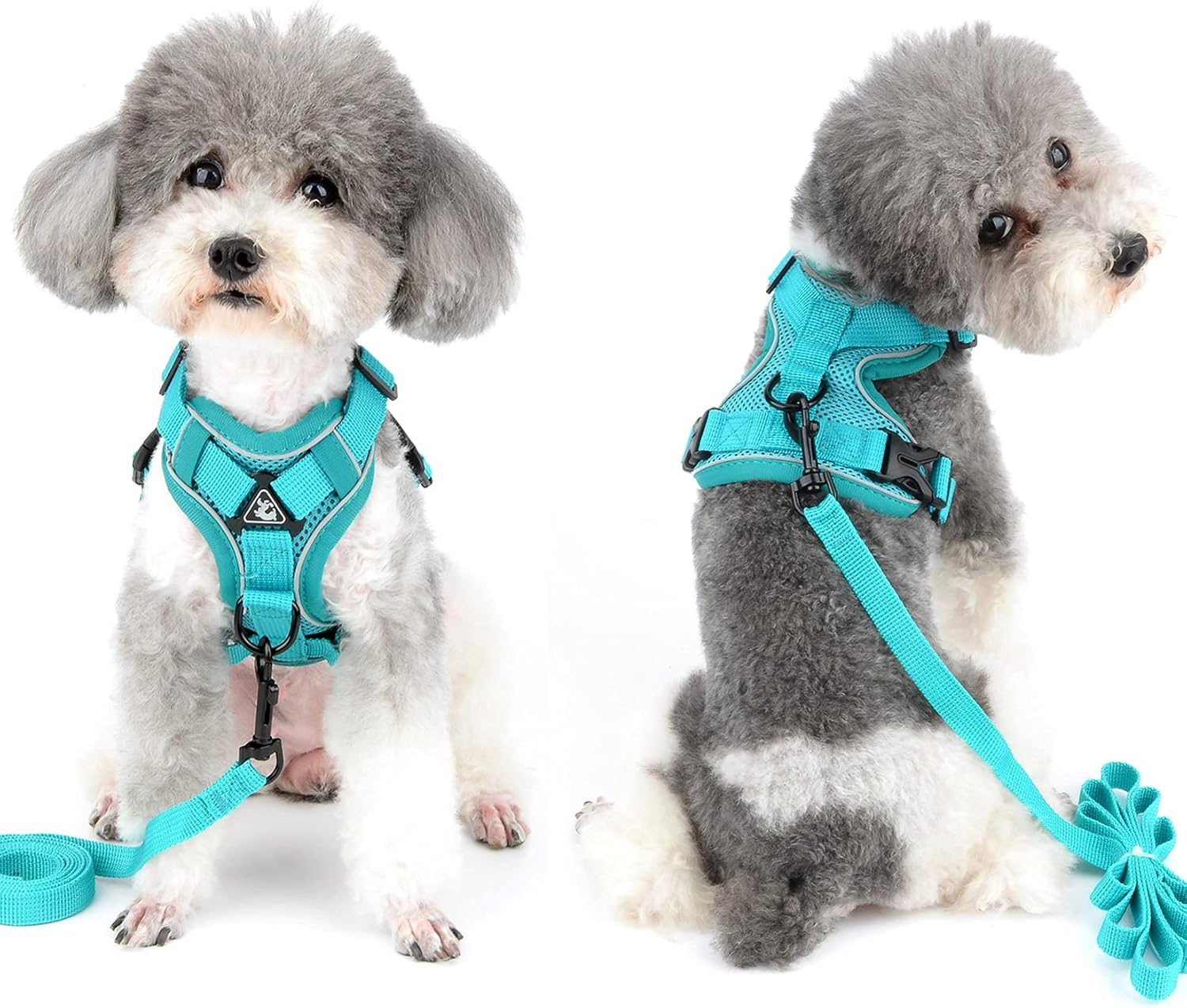 Zunea No Pull Dog Harness for Small Medium Dogs Puppy Cats Vest Harness Lead Set Adjustable Reflective Breathable Mesh Lightweight Pet Harnesses Escape Proof for Walking Training Green S image number 5