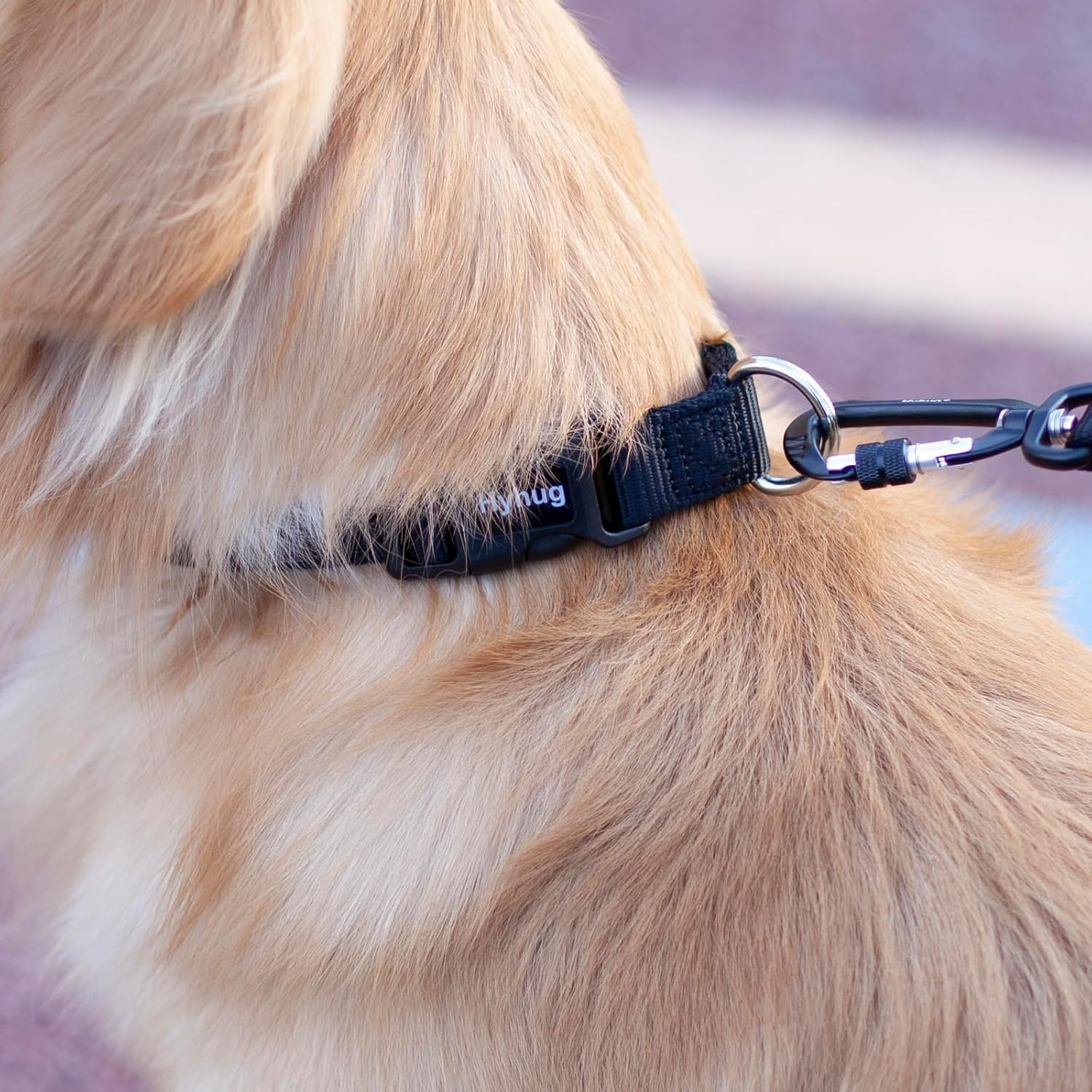 Hyhug Dog Collar with Quick Release Buckle, Heavy Duty Nylon, Basic Collar for Medium Dogs Daily Use Walking Jogging(Medium, Black) image number 4