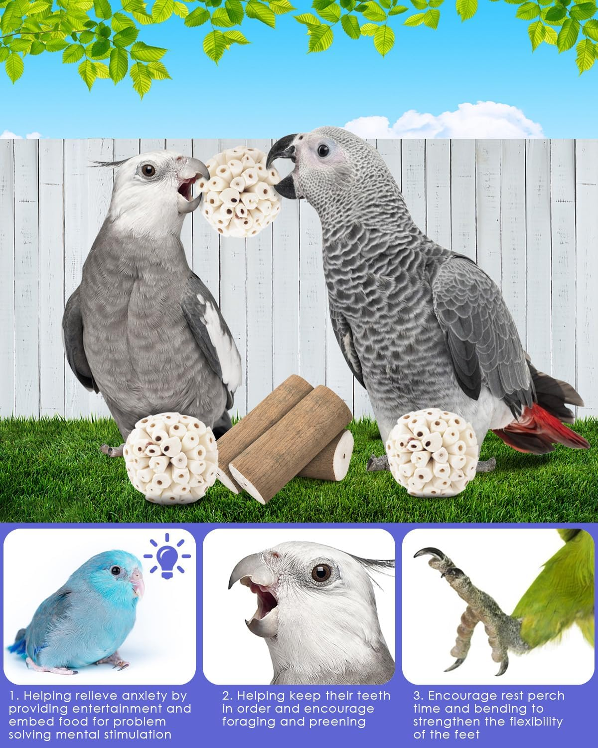 Bissap 7PCS Small Parrot Toys, Natural Sola Balls Bark Sticks Chew Forage Toy Bird Foot Balls for Cockatiels Conures Cockatoos Parakeets Love Birds Budgie Finch Cage Bite Toys image number 1
