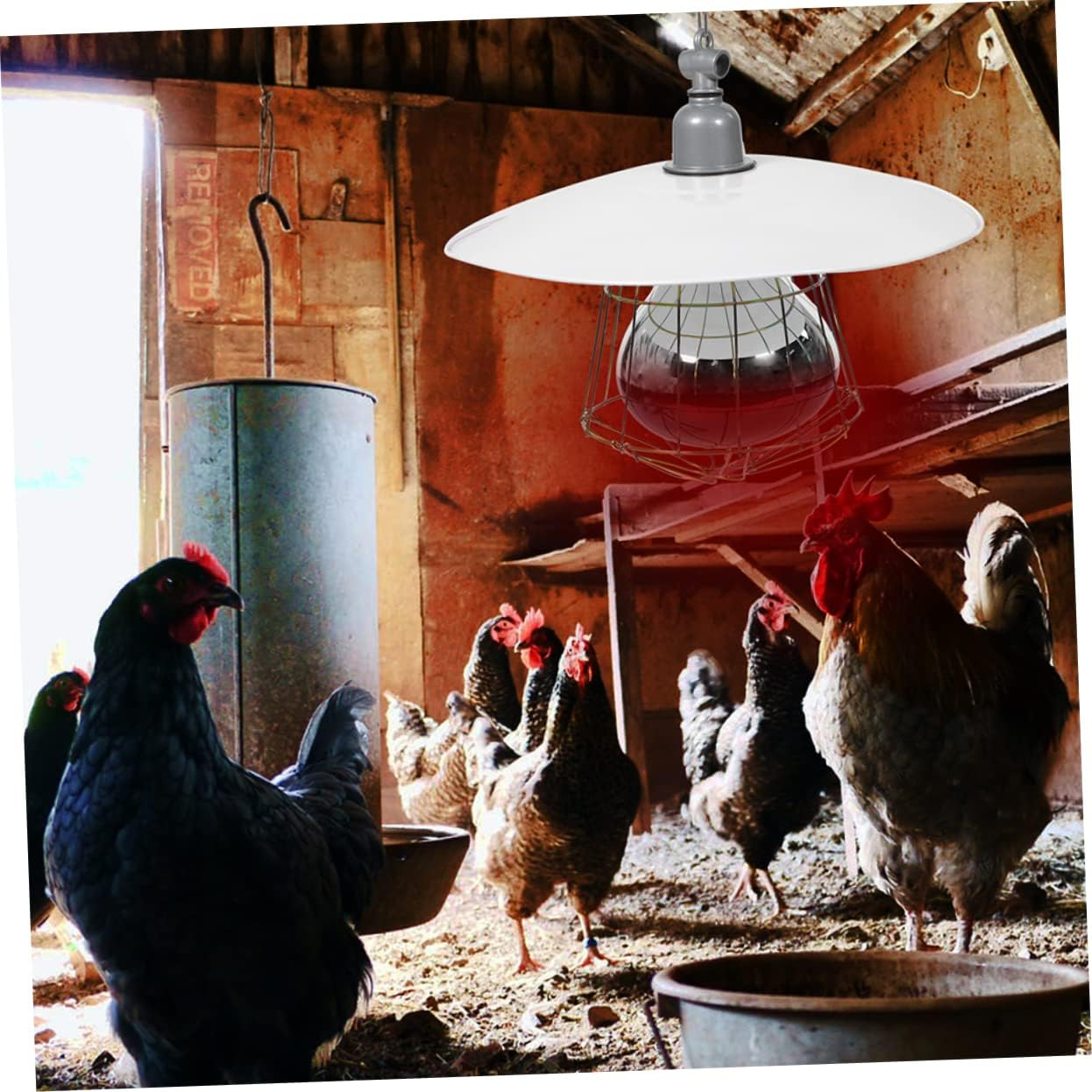 BESPORTBLE 250W Heat Light Lamp for Chicks Livestock Heating Tool Safe Warming Lamp Kit image number 4