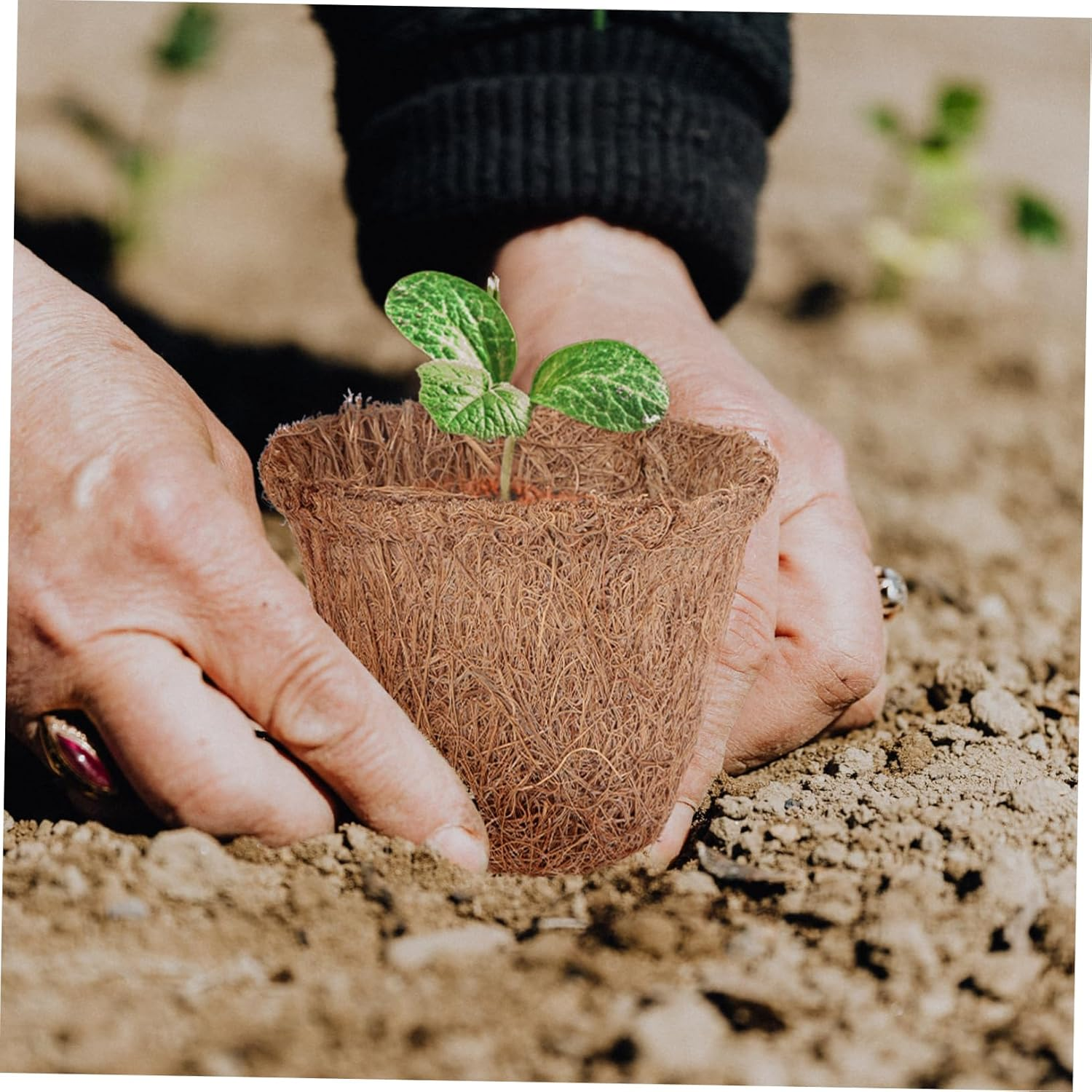 10Pcs Creative Planting Bag Garden Planting Pot Bag Decorative Seedling Pot for Small Plants Pack image number 2