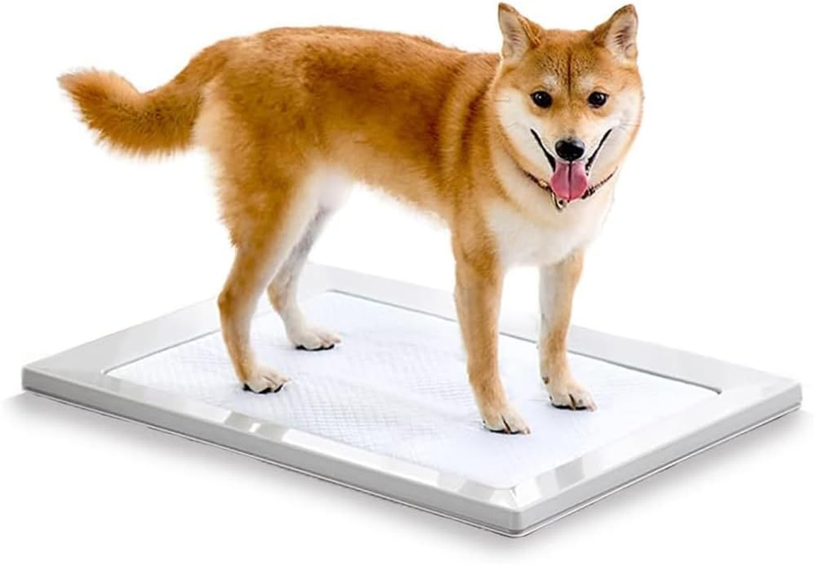 Iris Ohyama Dog Toilet, Square Dog Tray, Just Pinch Magnet, Regular, Light Gray, Washable