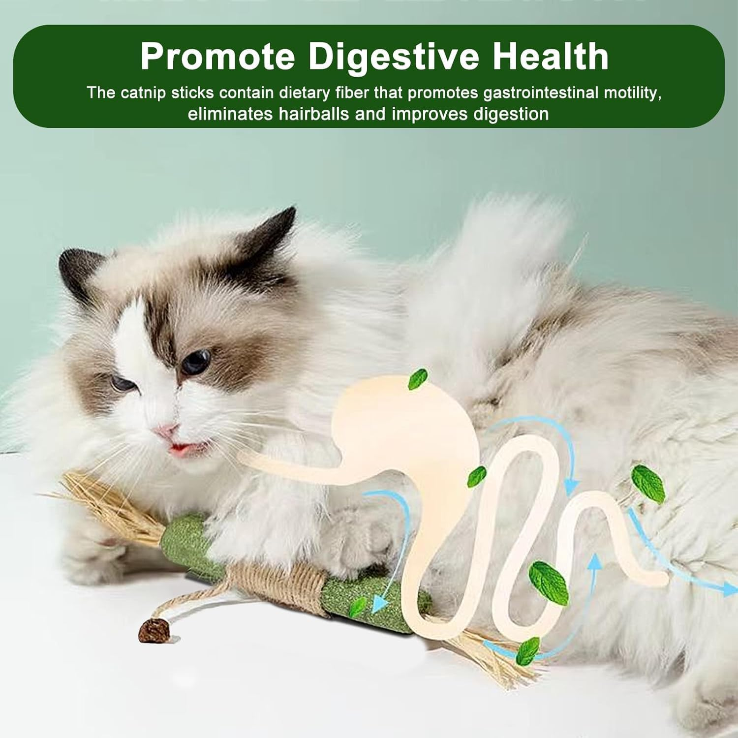 2PCS Cat Molar Scratch Toys, Self Play Extended Catmint Toys with Silvervine Gall Fruit, Natural Catnip Kittens Cat Chew Toy for Teeth Cleaning, Interactive Cat Dental Stick for Cat Kitty image number 3