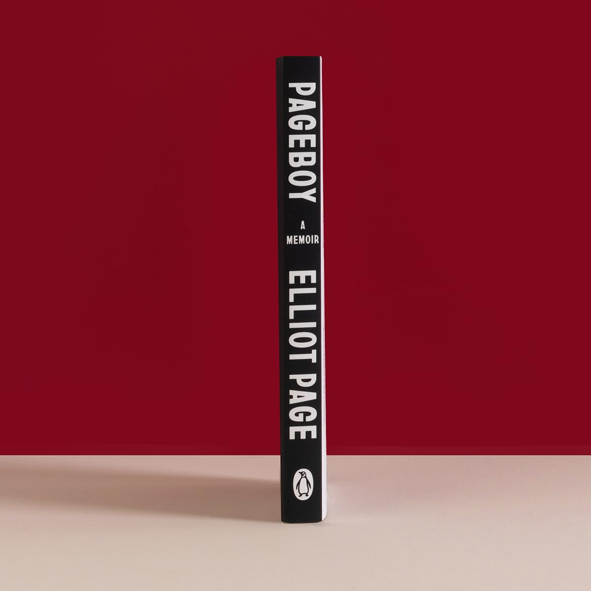 Pageboy: a Memoir image number 4