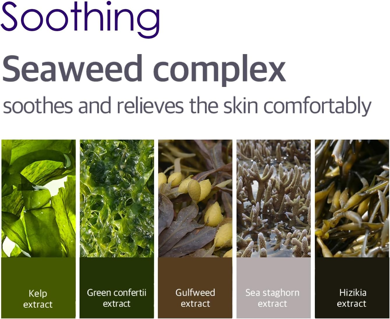 PETITFEE Agave Cooling Hydrogel Eye Mask 60Ea (30Pairs) - Quick Calming Eye Patches with Blue Energy Complex, Agave, Blueberry, Eggplant, Caffeine Extracts, Moisturizing, Soothing Eye Care image number 1