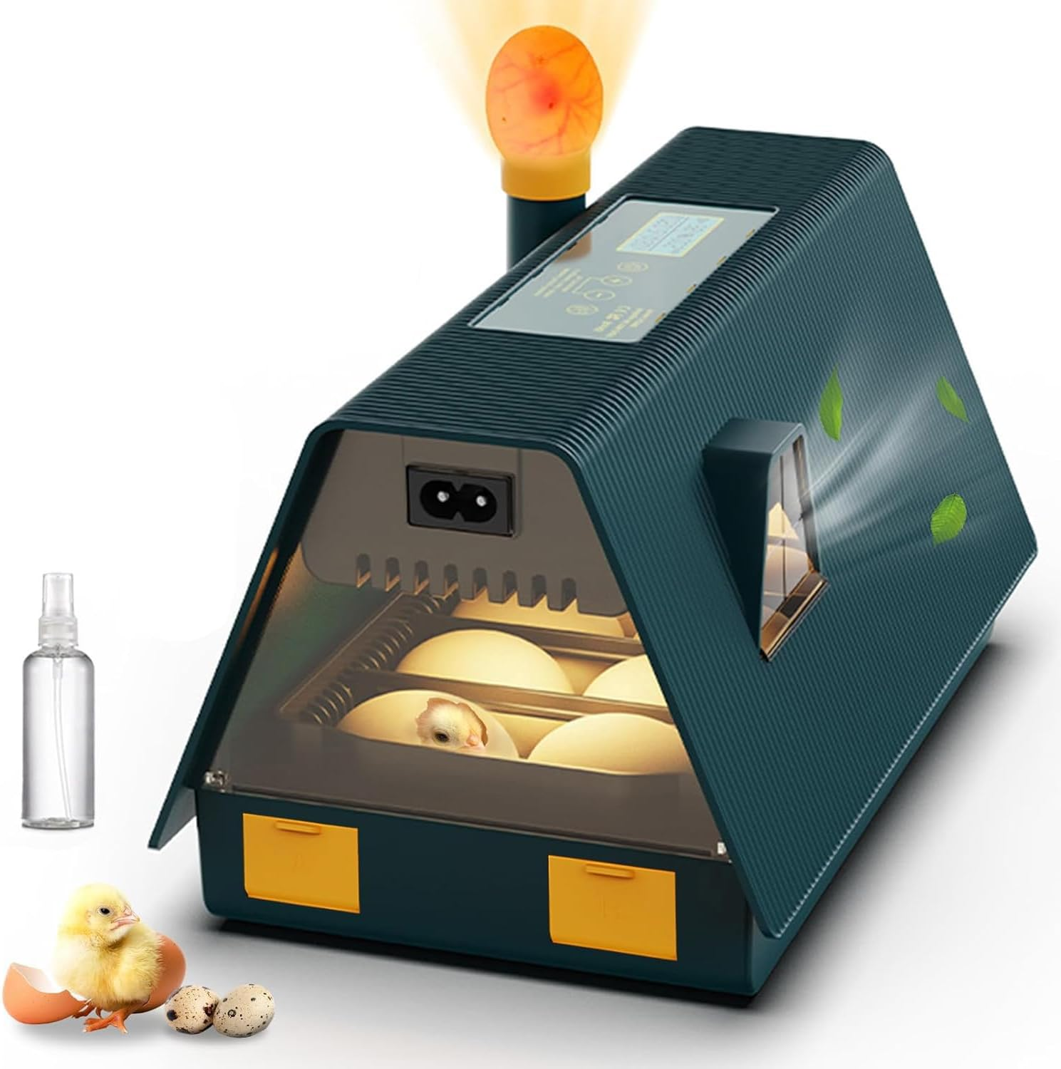 Premium Egg Incubator, Automatic Egg Hatching Incubator, 10 Eggs Poultry Hatcher with Automatic Temperature Control for Hatching, Chicken, Duck, Goose, Quail, Bird Eggs (Green) image number 5