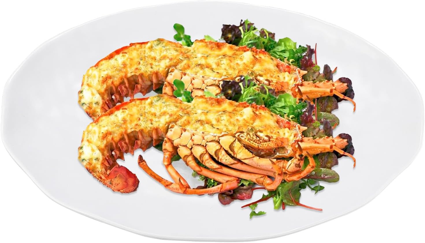 Yalin Rectangle Large Serving Platter, 17 Inch Melamine Serving Tray, Great for Restaurant, Steak, Salad and Everyday, Set of 2 White Dinner Plates (Rectangle) (Oval) image number 5