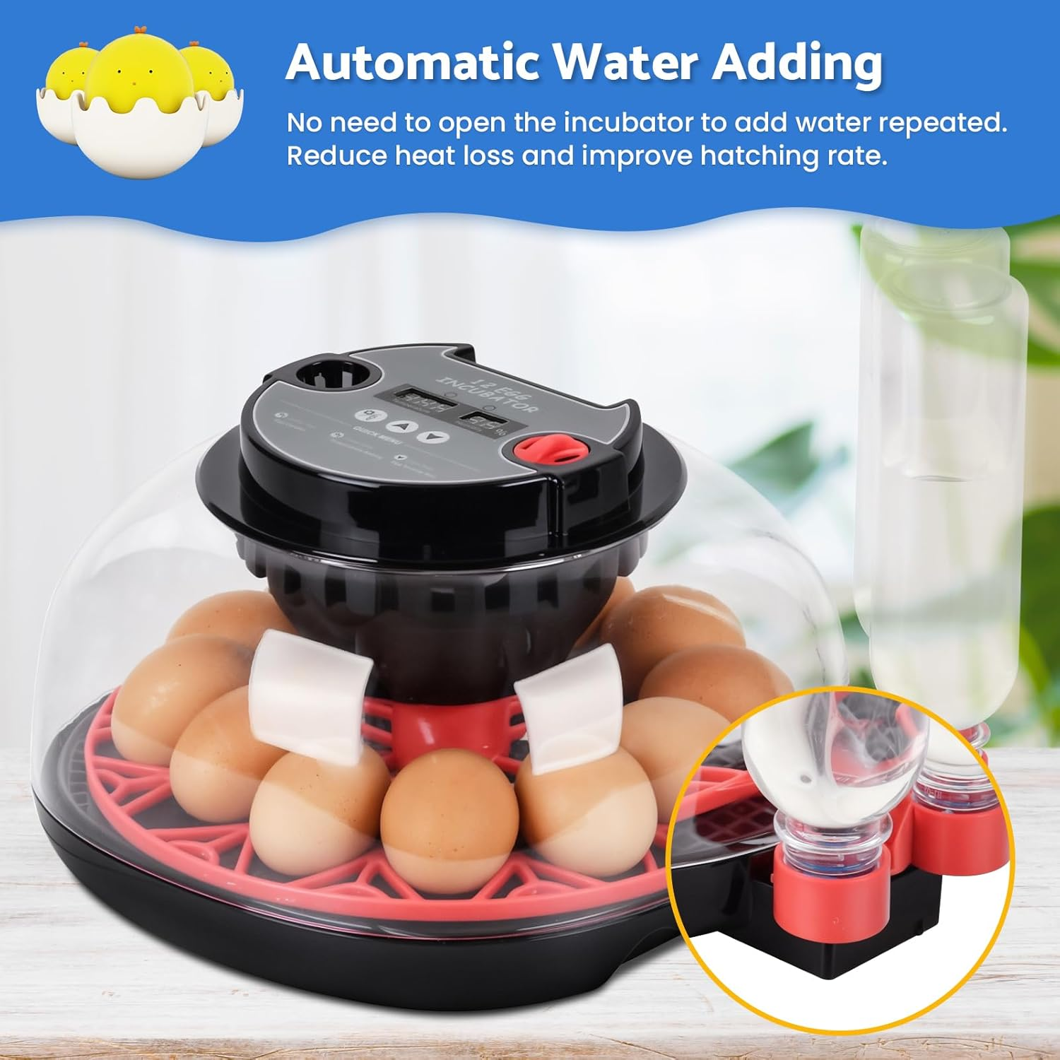Advwin Incubators for Hatching Eggs, Automatic Egg Incubator with Temperature Control Humidity Display, 12 Egg Capacity for Chicken Duck Goose Eggs, Digital Display, Auto Turner, 360&deg; View image number 2