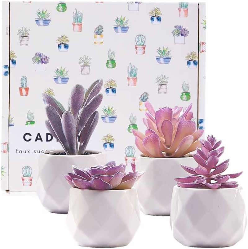 CADNLY Fake Succulent Plant Set - Artificial Succulent Plants for Women Desk - Realistic Faux Succulents in Ceramic Planter Pots - Mini Purple Succulent Decor for Bedroom Bathroom Office Shelf Decor - Pink image number 6