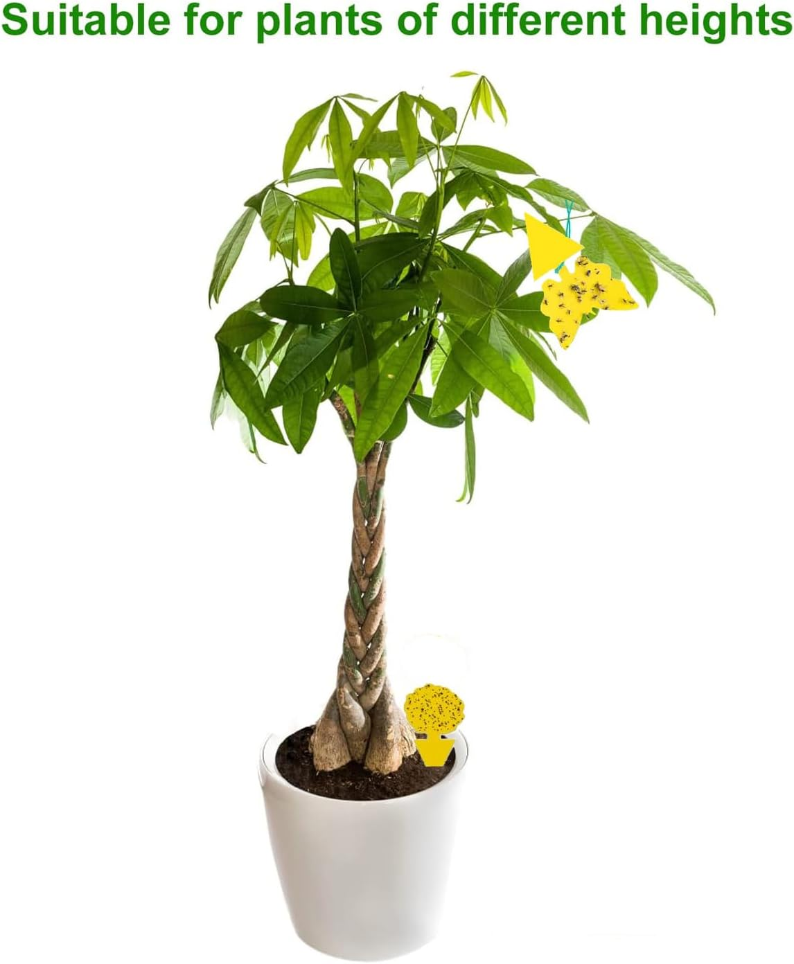 Aieve 54 PCS Sticky Traps, Yellow Dual-Sided Sticky Insect Catcher, Fruit Fly Fungus Gnat Trap Killer with Twist Ties, for Whiteflies Mosquitos Fungus Aphids Leafminers Indoor Outdoor