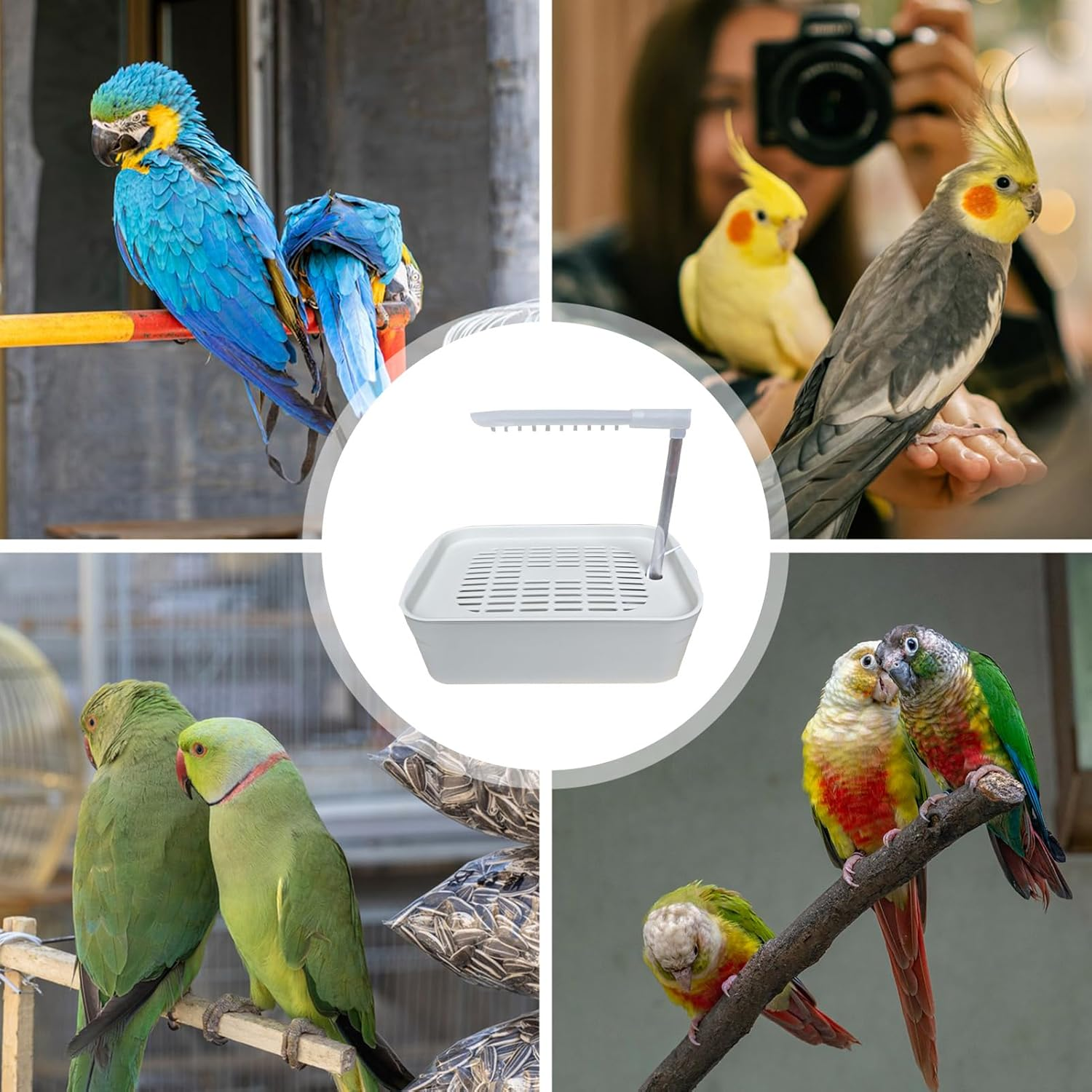 Parrot Bath - Easy to Asѕ Bird Shower Bath | Electric Parrot Bathtub | Automatic Pet Bird Shower | Parroț Bathing Artifact or Both Home Pets and Professional Breeding Environments - White image number 3