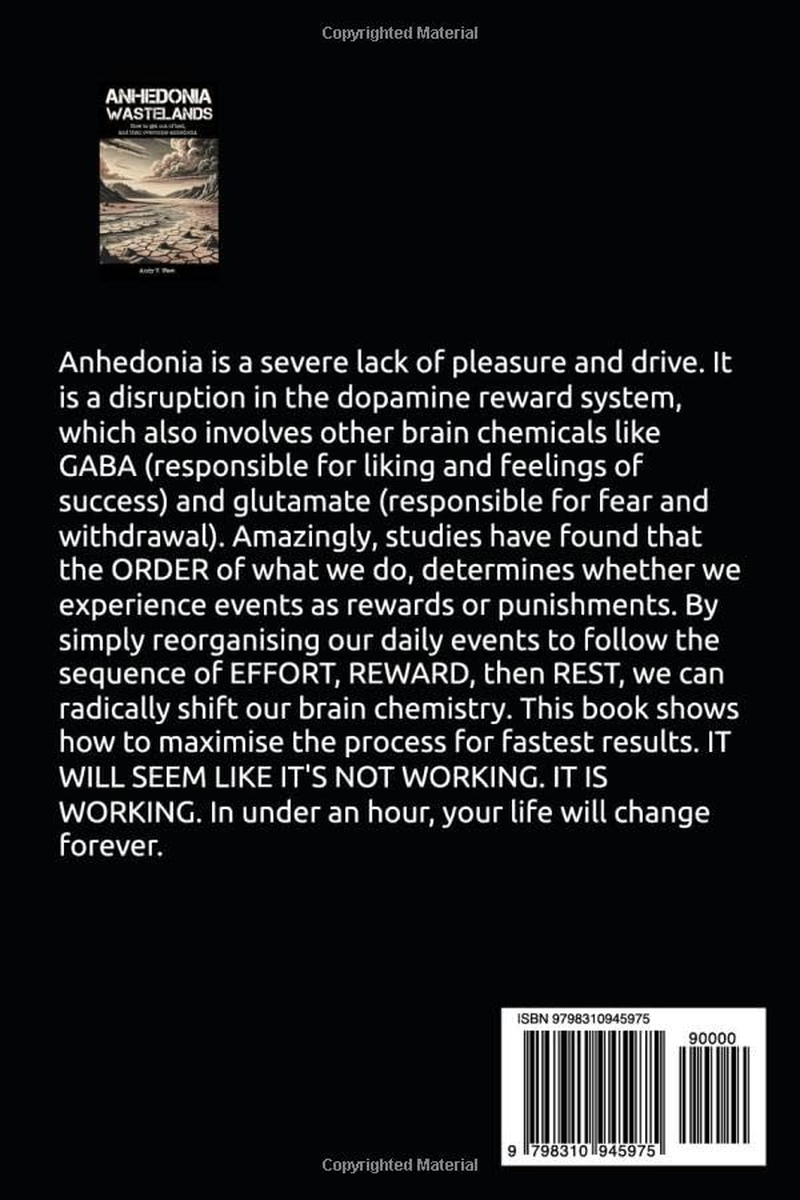 Anhedonia Wastelands: How to Get Out of Bed, and Then Overcome Anhedonia image number 1