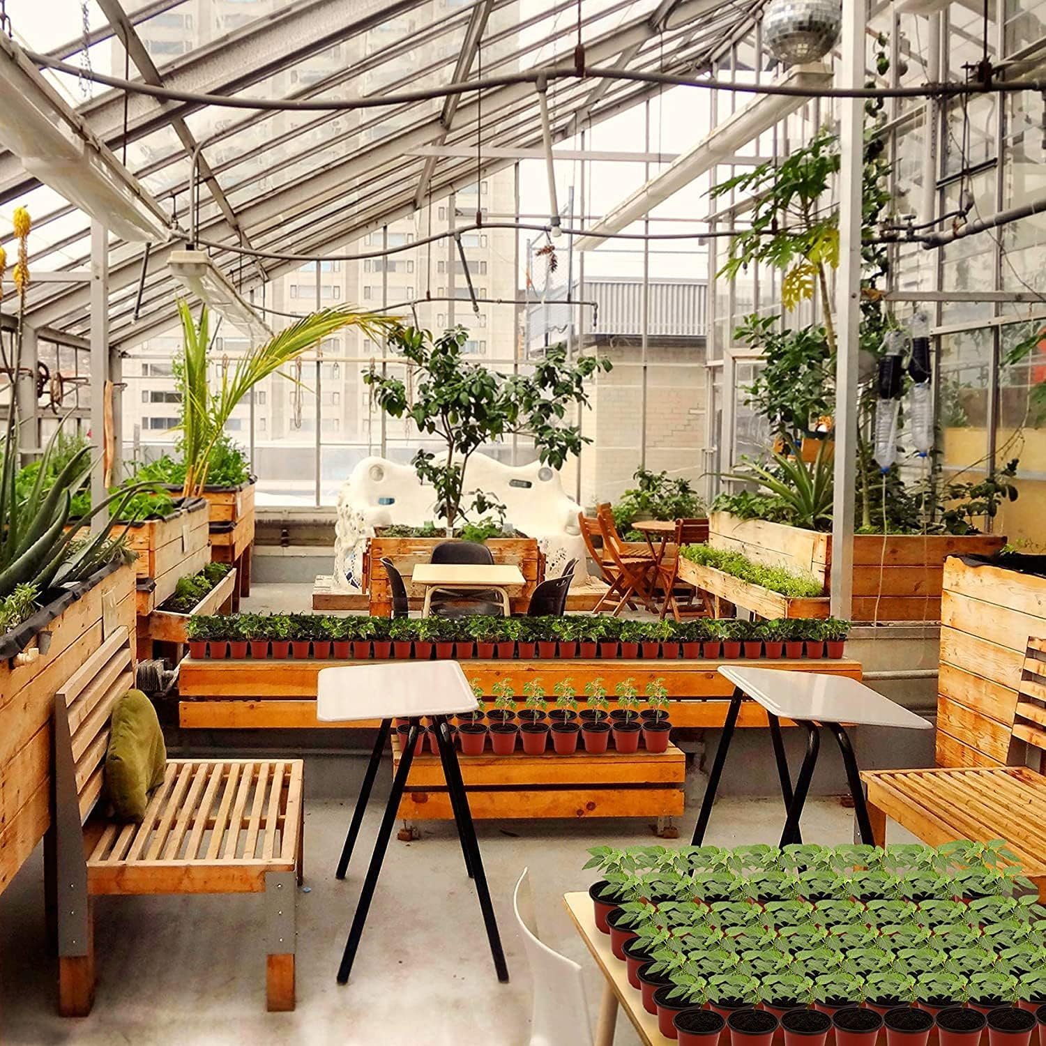 MIXC Plant Nursery Pots with Humidity Dome 4" Soft Transparent Plastic Gardening Pot Planting Containers Cups Planter Small Starter Seed Starting Trays for Seedling with 10Pcs Plant Labels，30 Sets image number 4