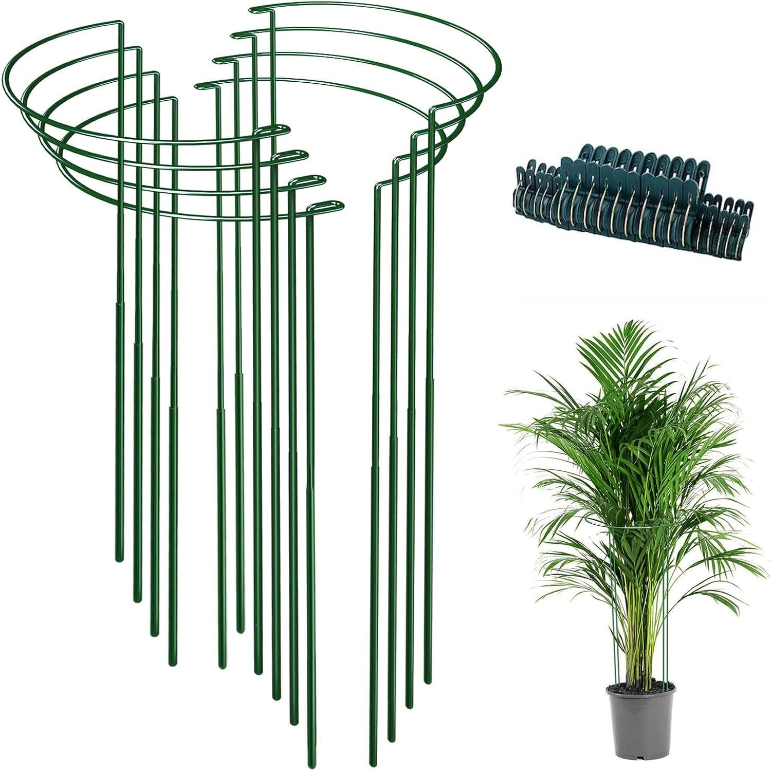 8 Pack Plant Support Stakes, Metal Peony Cages and Supports, Outdoor Garden Stakes Plant Cage, Large Plant Support Rings for Tomato,Rose,Flowers Vine,Indoor Tall Plants (10" W X 15.8" H) image number 2