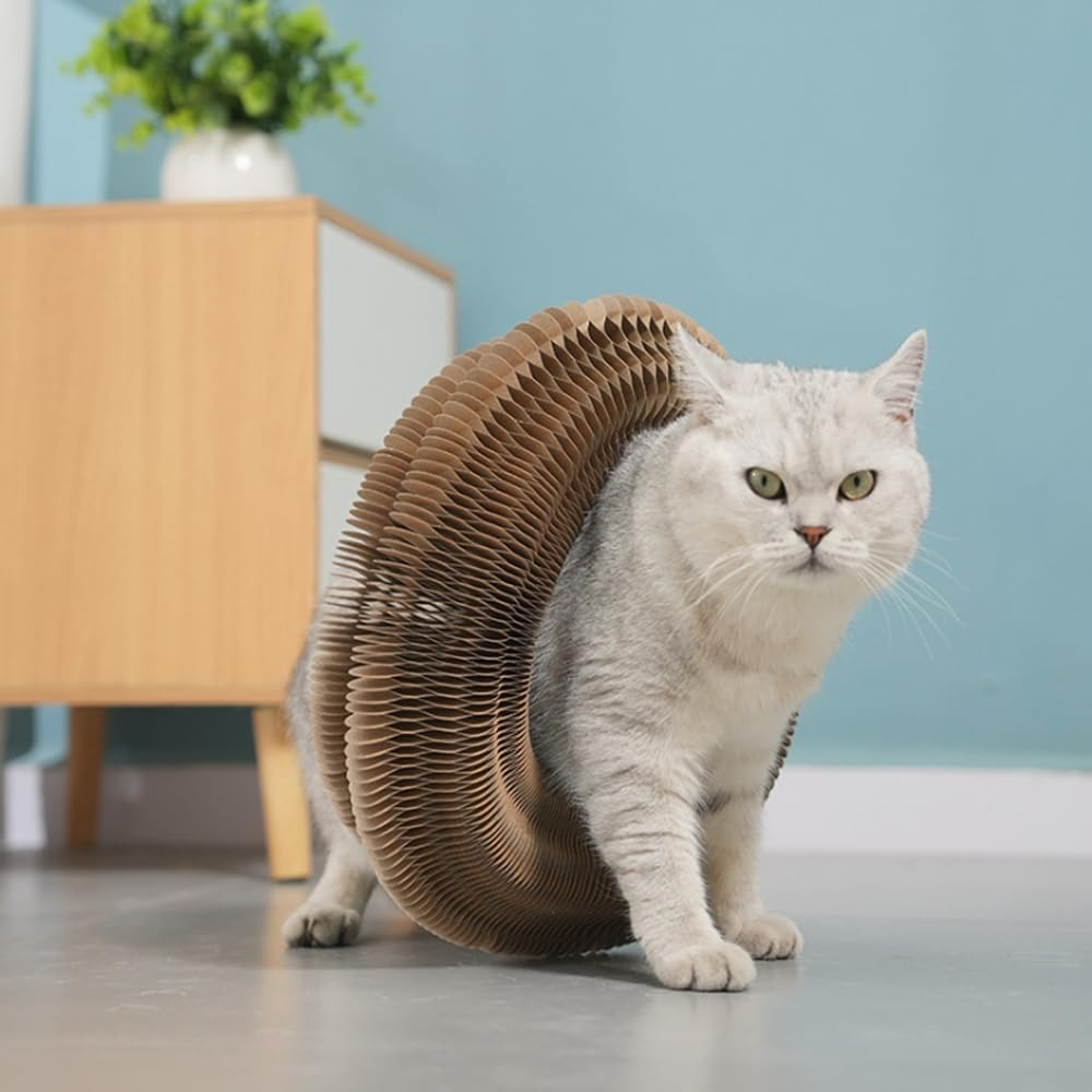 Mumoo Bear Foldable Cat Scratcher Cat Toy, Accordion Cat Scratcher, Cardboard Accordion Cat Toy, Foldable Cat Accordion Toy, Magic Organ Cat Scratching Board, Interactive Scratch Pad with a Ball image number 6