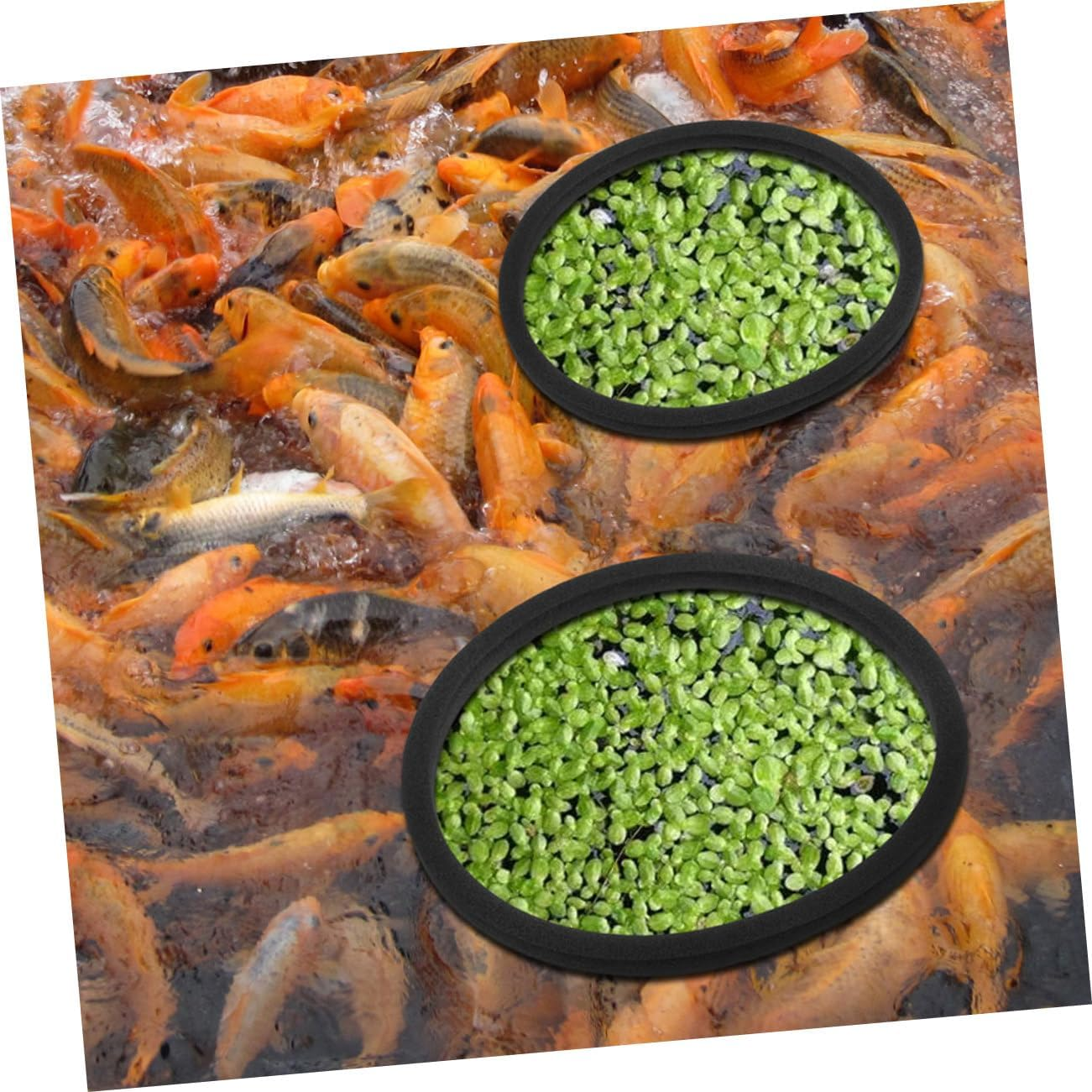 ANDRESLAD 20Pcs Floating Aquarium Plant Rings Reusable Fish Tank Floating Dividers for Betta and Aquatic Pets Supports Photosynthesis Easy Installation for Aquarium Landscaping image number 5