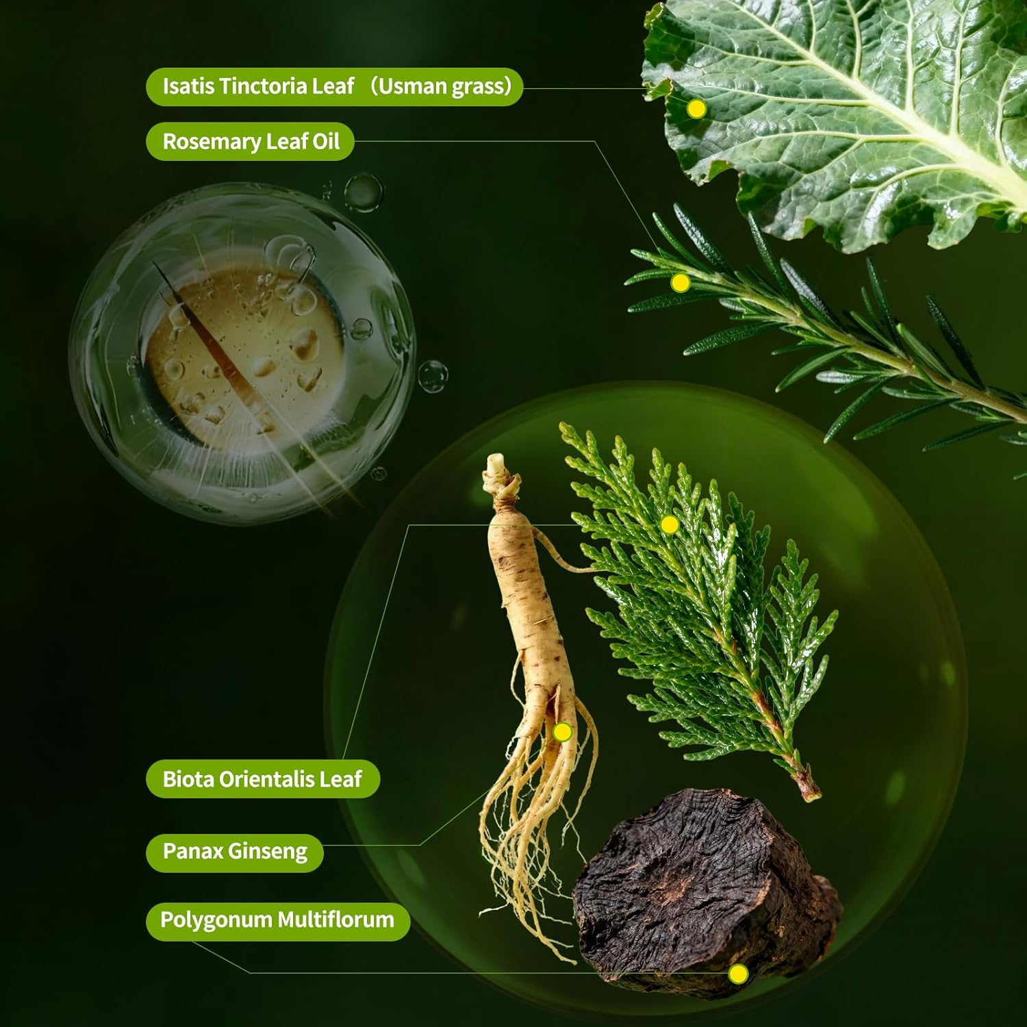 SEVICH Usman Grass Shampoo Bar with Foaming Nets,Nature Triangle Shampoo Bar,3-In-1 Plant Oil Concentrate for Hair Strengthening,For All Hair Types,Travel Size,120G image number 4