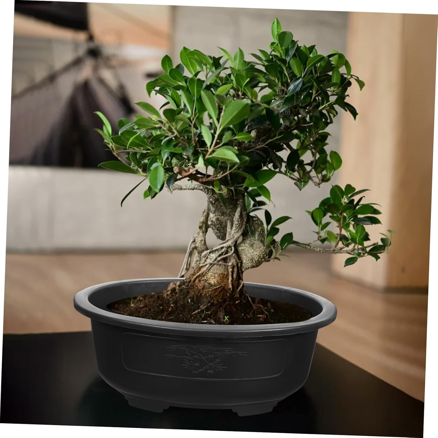 Cabilock Large Gardening Planter Pot 2Pcs Oval Plastic Bonsai Flowerpot Household Garden Supply Suitable for Indoor and Outdoor Planting image number 3