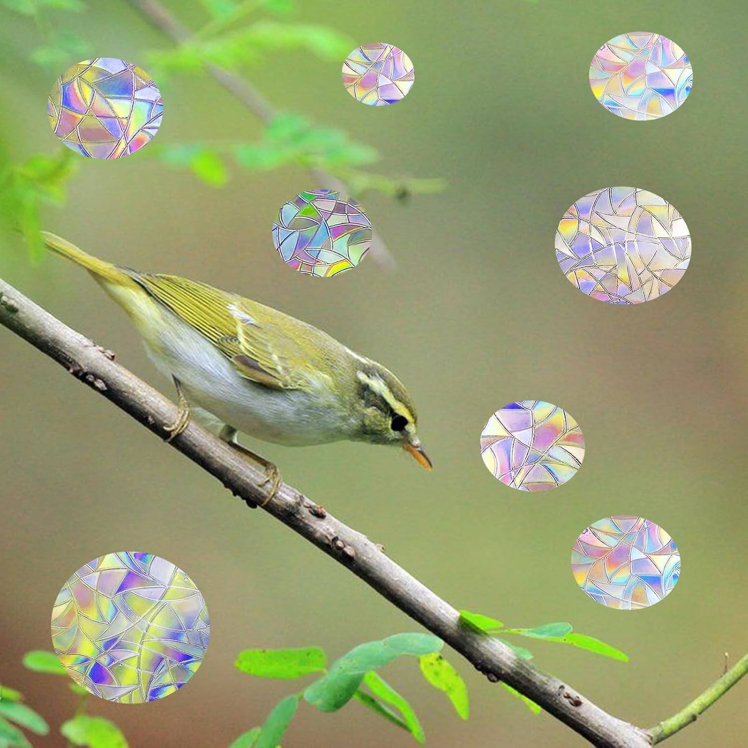 ROROP 36 Pcs Anti-Collision Window Decals, Rainbow Stickers Circle Window Clings -To save Birds from Window Collisions,Non Adhesive Prismatic Vinyl Window Clings image number 3