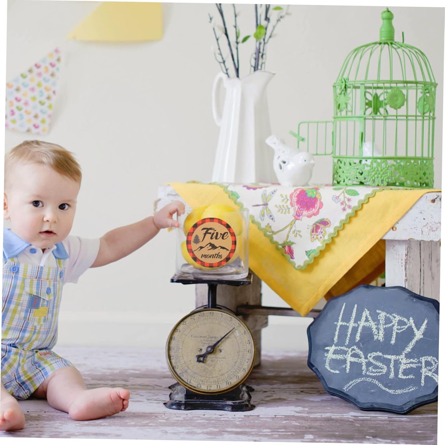 12Pcs Labels Milestone Stickers Newborn Monthly Decals Self-Adhesive Stickers for Photos Easy to Stick and Tear off Non-Toxic Safe