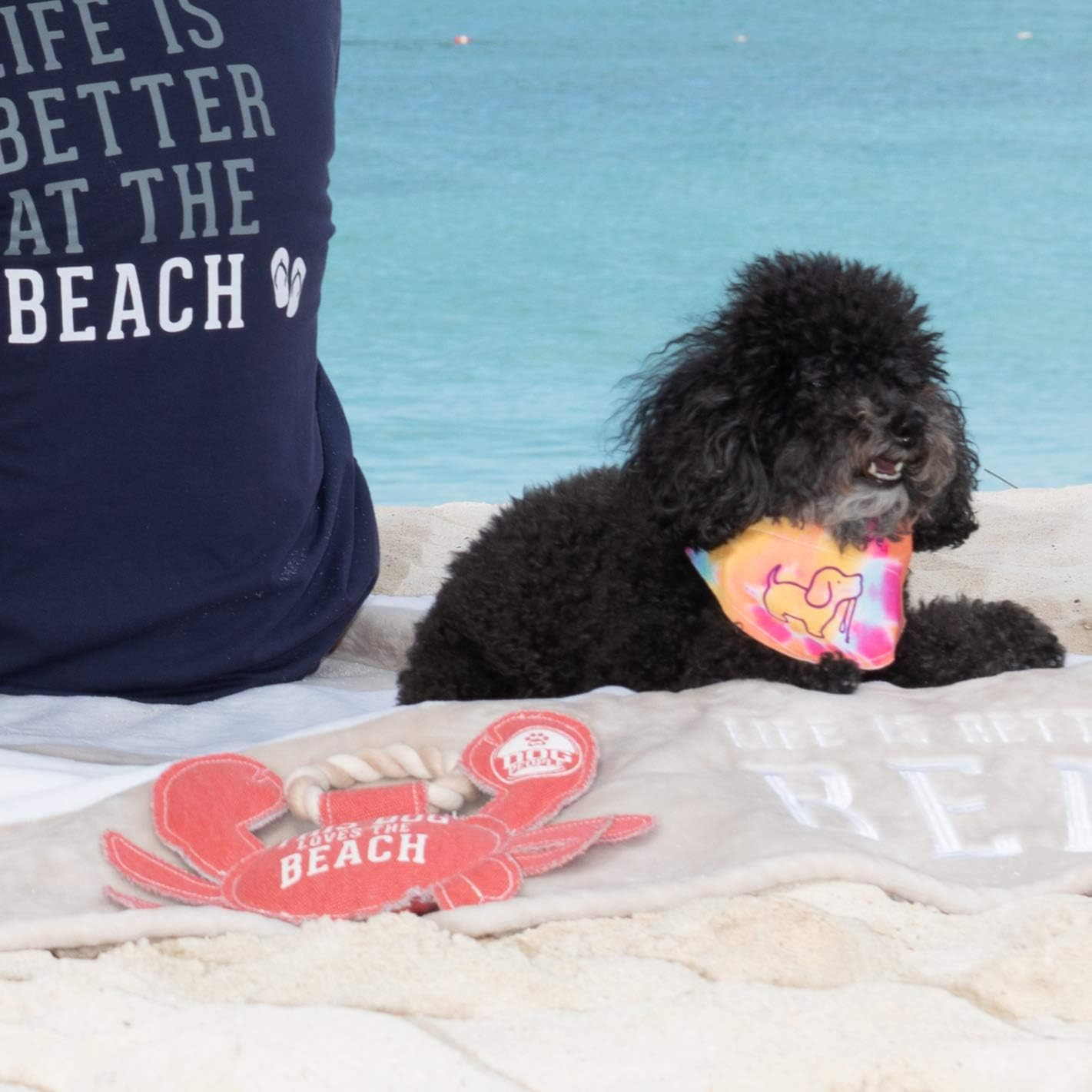 Pavilion Gift Company This Dog Loves the Beach, 67643, Polyester, Red, 11 Inch image number 3