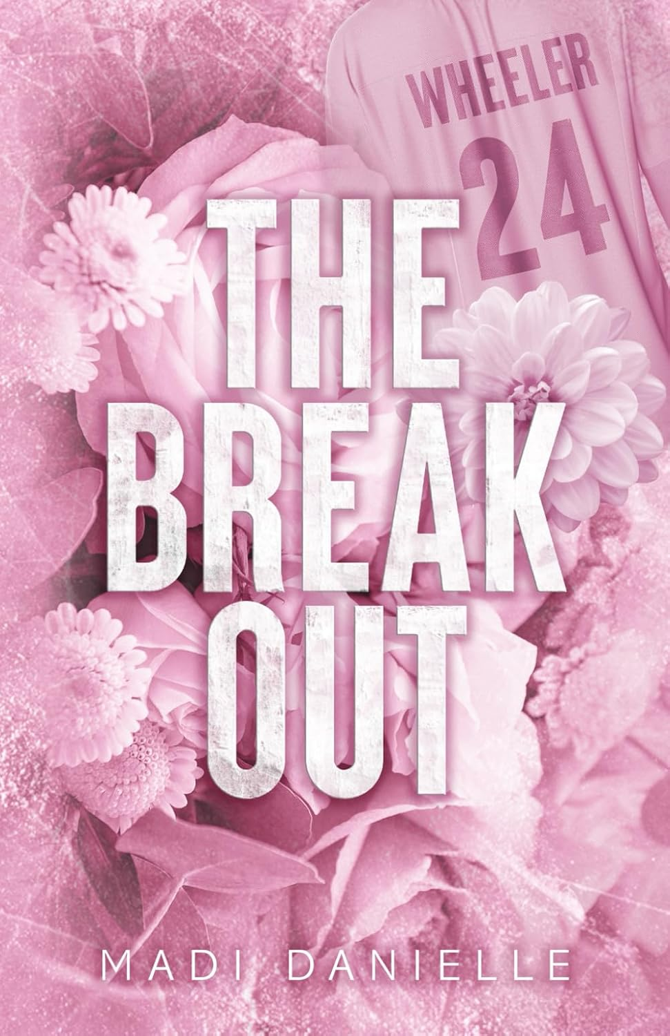 The Break Out: a Hockey Enemies to Lovers Romance image number 1