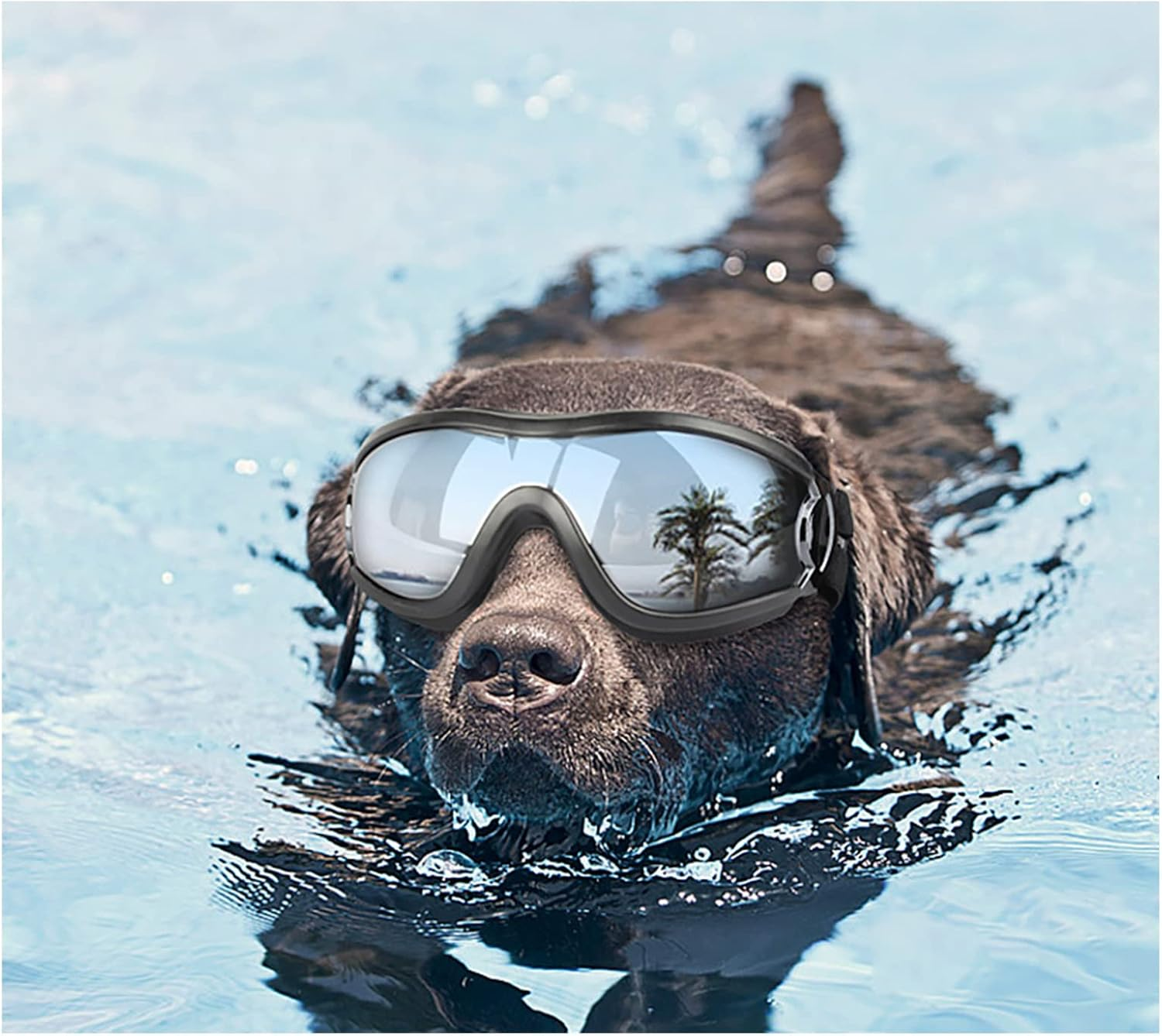 WISTOM Dog Sunglasses and Goggles with Adjustable Strap for Travel, Skiing, and Anti-Fog Snow Protection - Pet Eyewear for Medium to Large Dogs image number 2