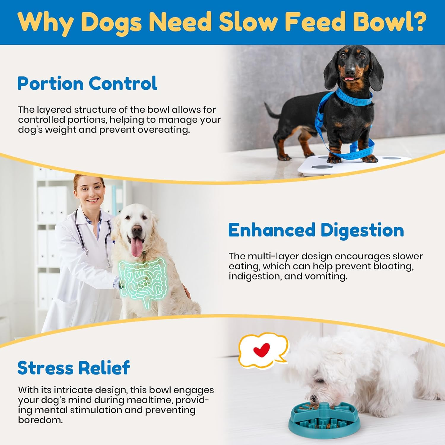 Barpor Feeding Bowl for Dogs - Slow Eater Dog Bowl Fun Slow Eating Bowl Interactive Non-Slip Dog Bowl Anti-Choking Healthy Eating image number 3