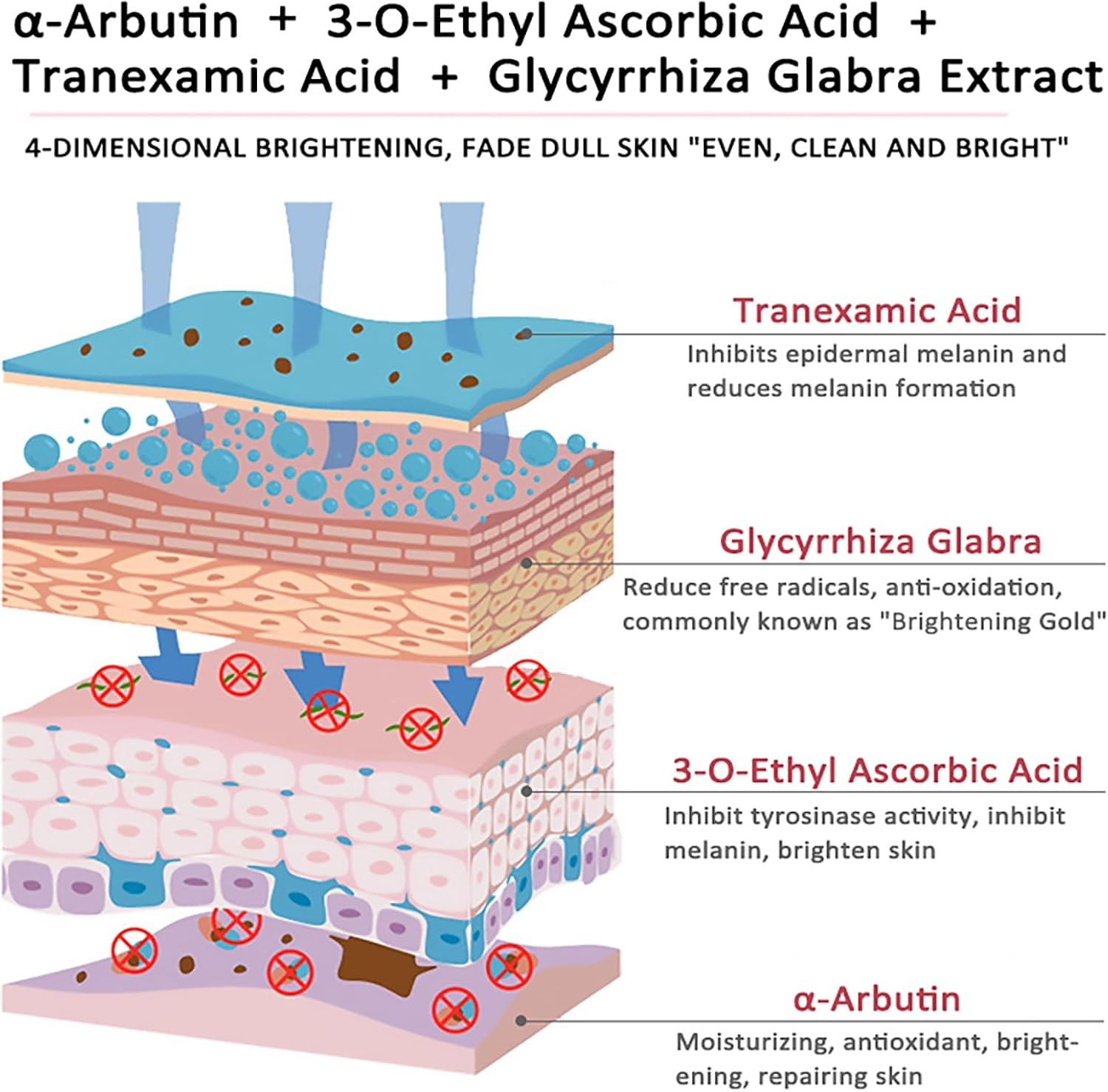 Deleventh Korean Brand &Alpha;-Arbutin Revitalizing Face Serum 37Ml / with Vitamin E, Anti-Oxidation, Brightens and Evens Skin Tone, Reduces Dark Spots, Deeply Hydrates and Nourishes