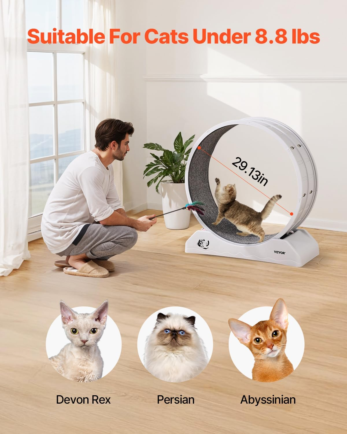 VEVOR Cat Exercise Wheel, 31.5 In, Large Cat Running Wheel with Secure Brake & Carpeted Runway, Quiet Operation Cat Treadmill, Indoor Cats Exerciser Wheel for Pets Weight Loss & Health White image number 2