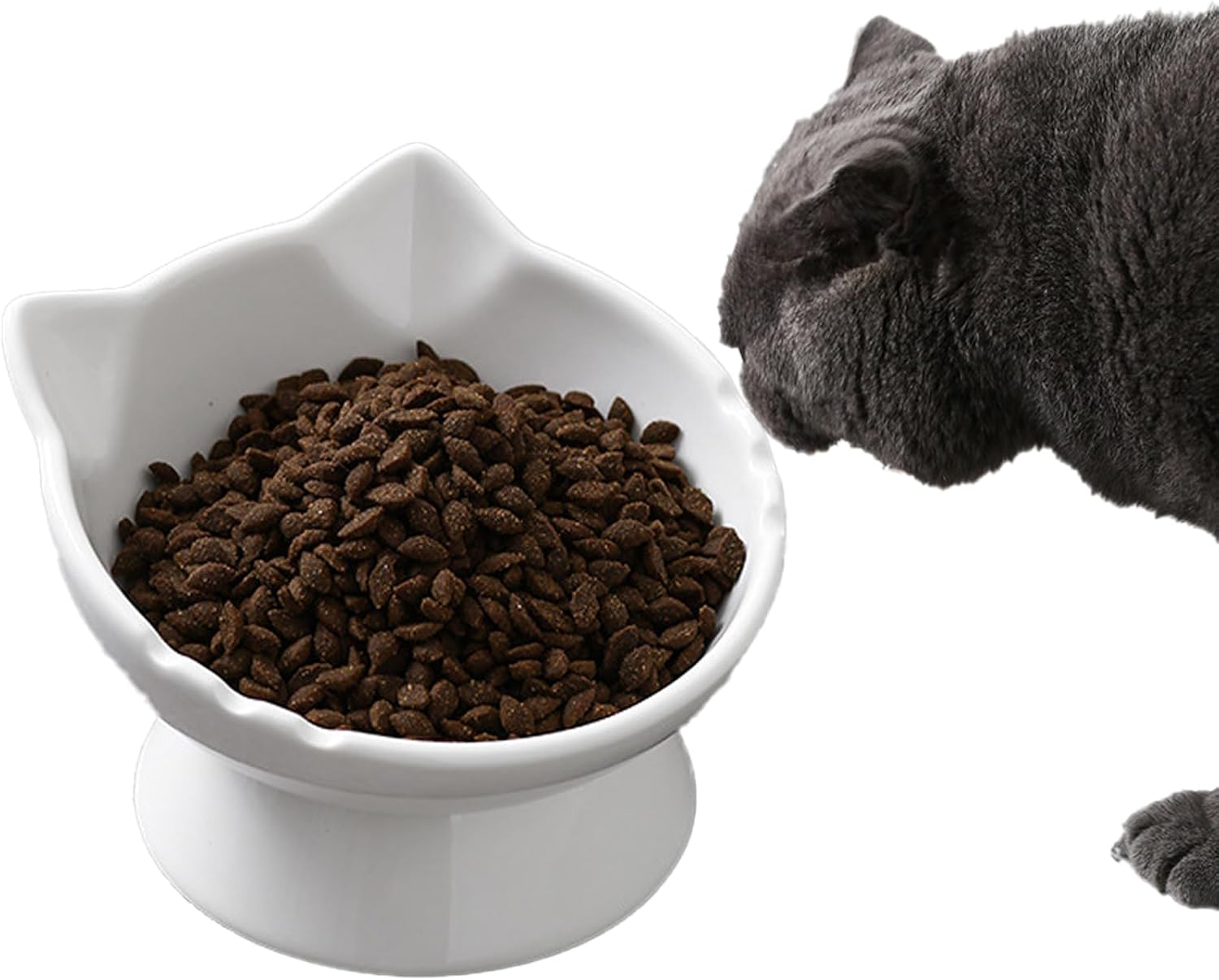 Raised Cat Bowl &ndash; Ceramic Elevated Pet Dishes, 15&deg; Tilt for Easy Digestion, Anti-Choking & Anti-Vomiting, Large Capacity for Food & Water (Classic White)