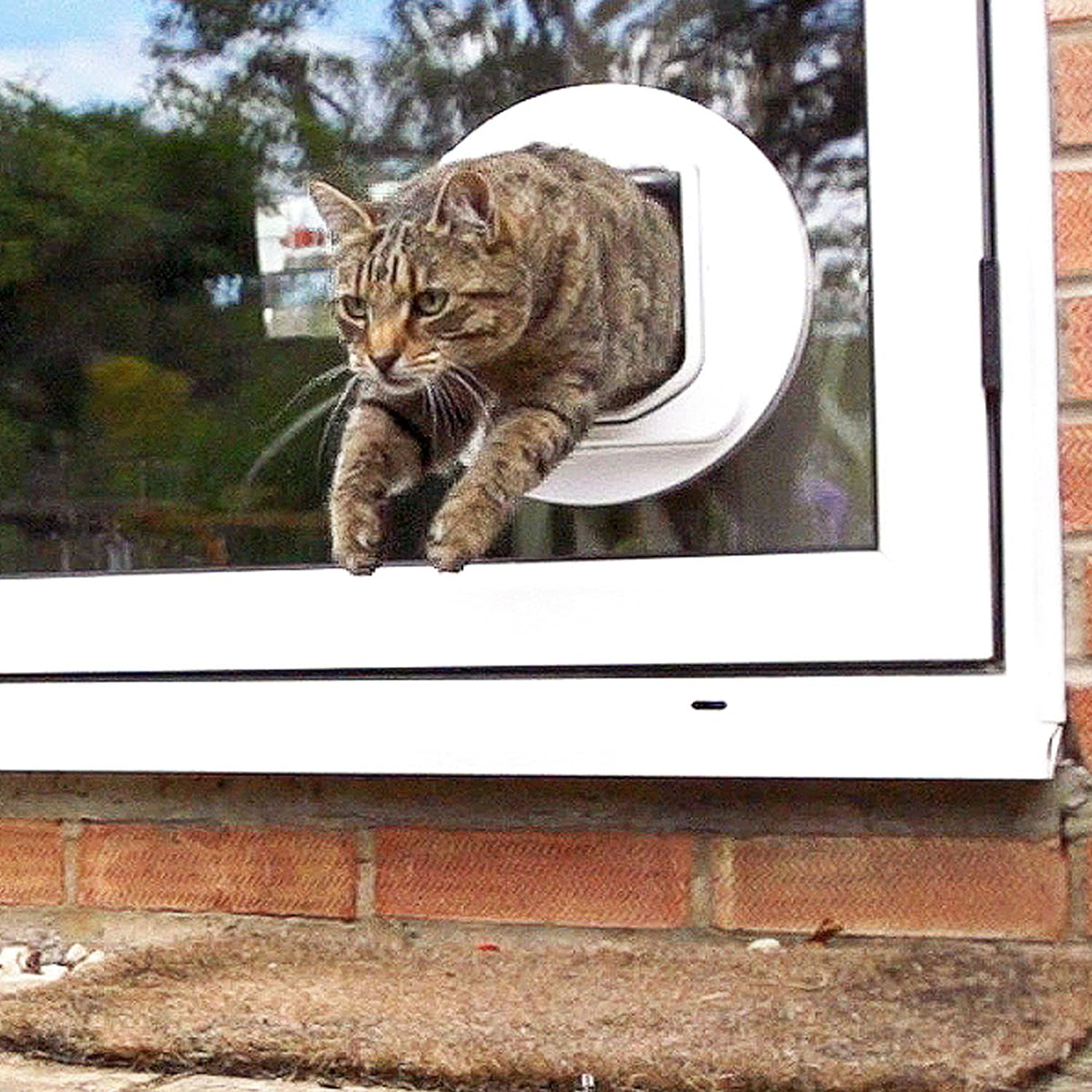 Sureflap Dual Scan Microchip Cat Door image number 1