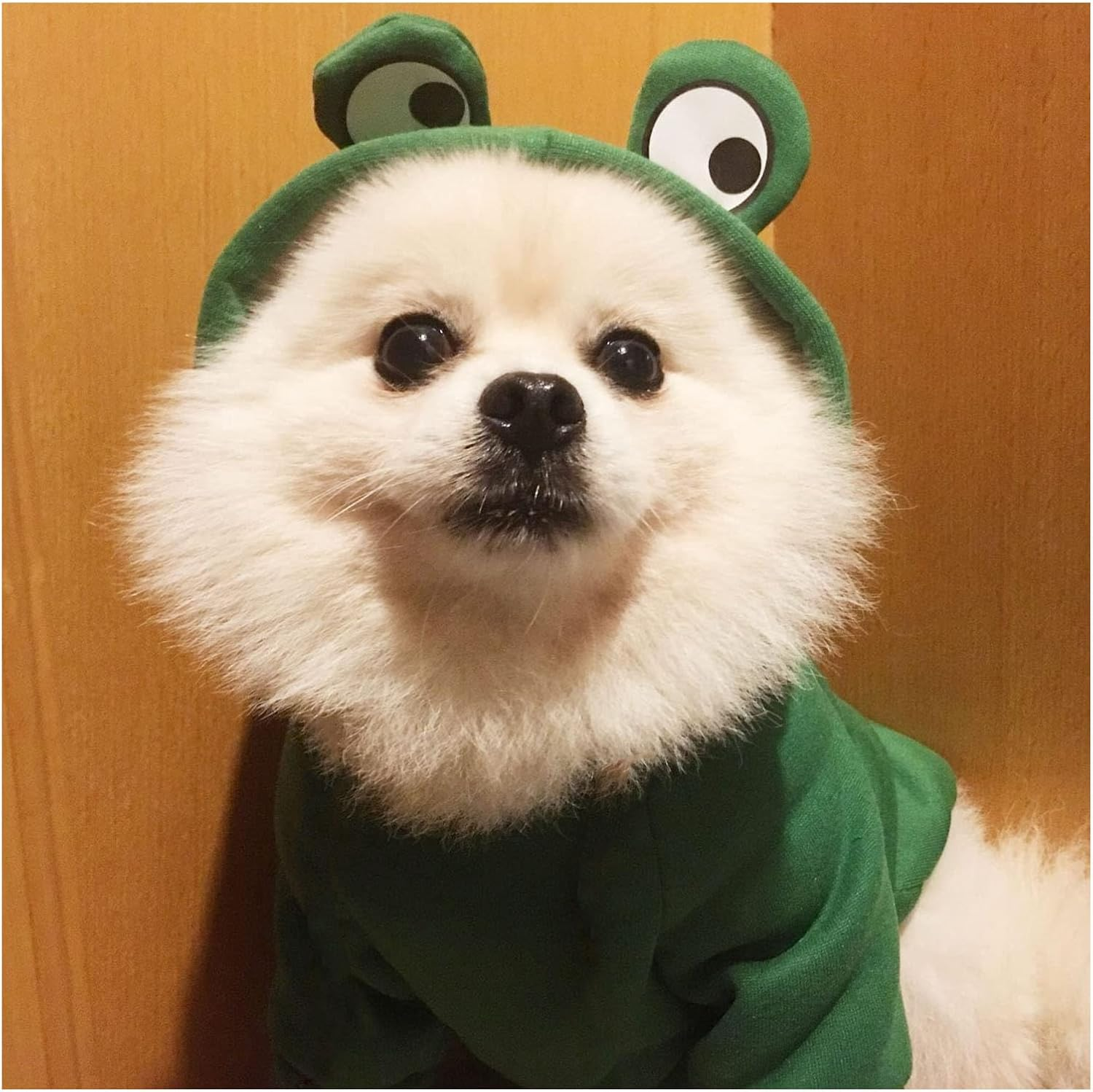 Pet Clothes, Dogs Hooded Sweatshirt Fruit Warm Coat Sweater Cold Weather Costume for Puppy Small Medium Large Dog (XXL, Green Frog) image number 6