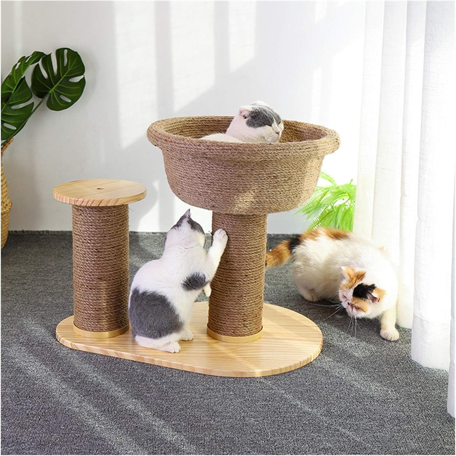 Cat Scratching Post, Natural Bowl Shaped with Perch Cat Tree, Durable Cat Scratcher Pole with Sisal Rope (Color : Brown) image number 5