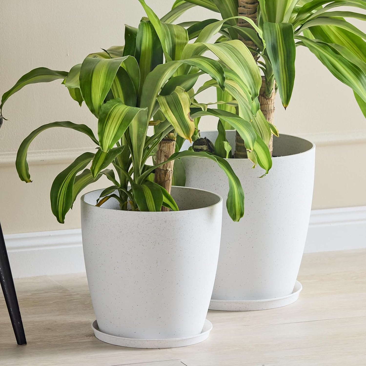 San Remo Saucer White Terrazzo 24Cm image number 1