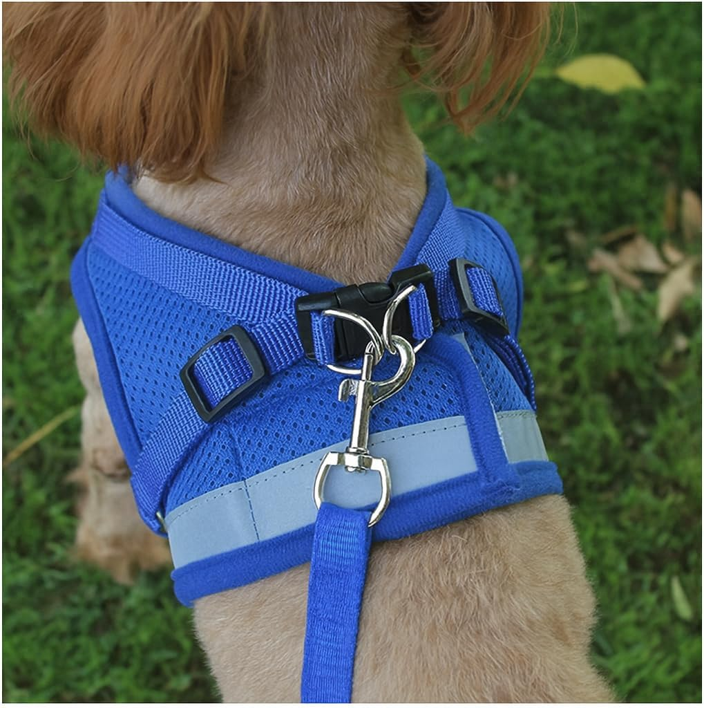 4M Pets No-Pull Reflective Mesh Dog Harness & Leash &ndash; Breathable, Step-In Vest for Small & Medium Dogs ( Blue M ) image number 2