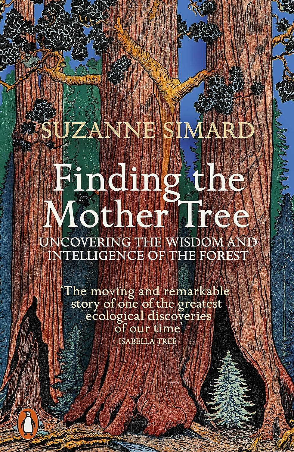 Finding the Mother Tree: Uncovering the Wisdom and Intelligence of the Forest image number 1
