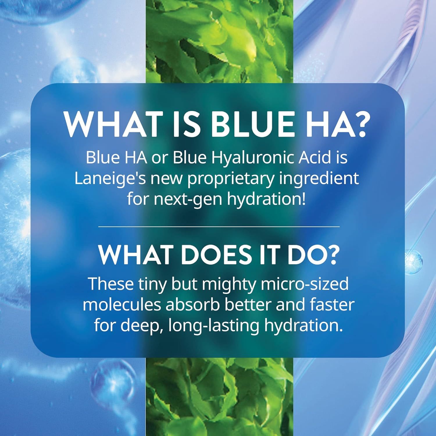 LANEIGE Water Bank Blue Hyaluronic Serum image number 5