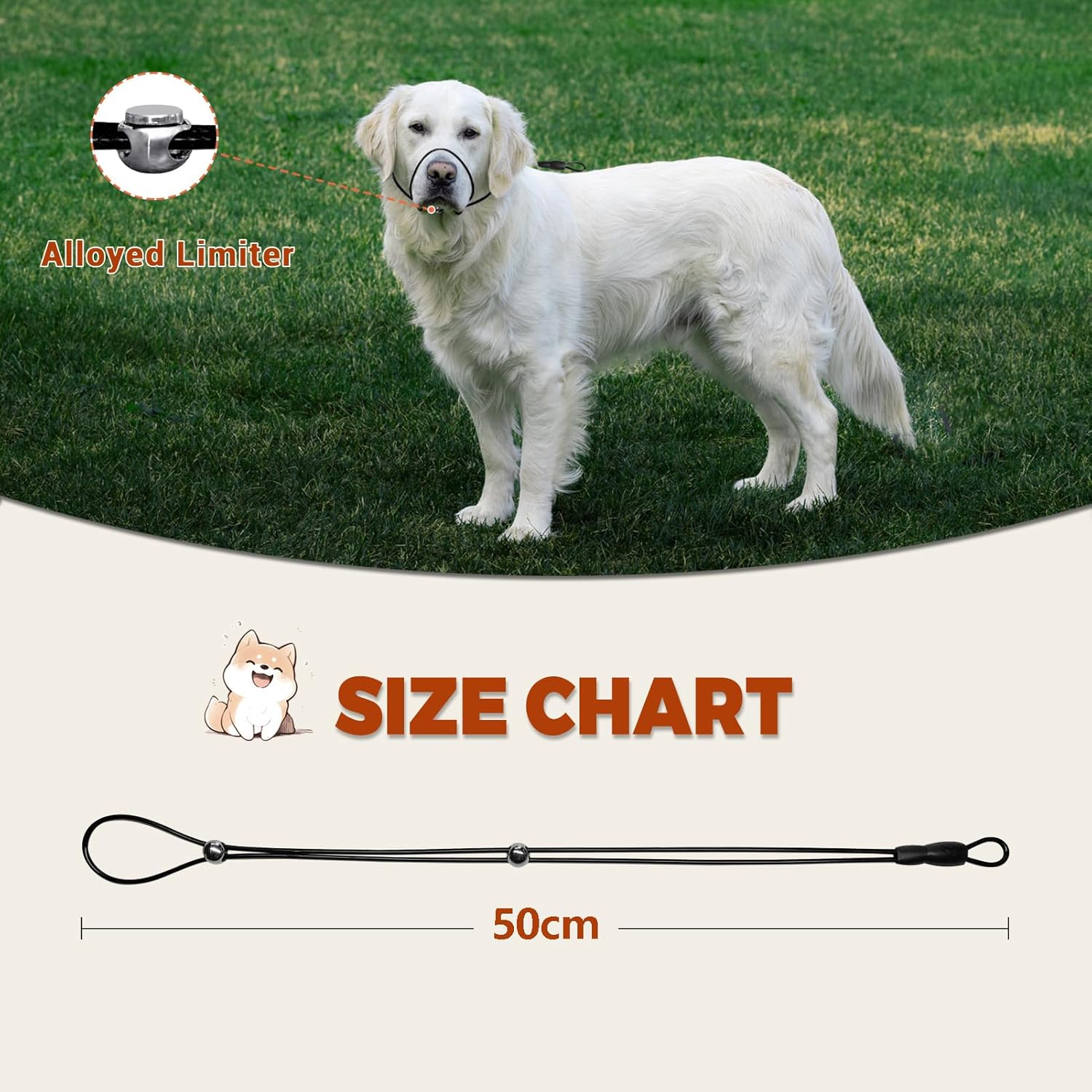 LOS ANDES Dog Halter Head Harness, Stops Heavy Pulling on the Halter Collar, Padded Halter for Small, Medium and Large Dogs (Black) image number 6