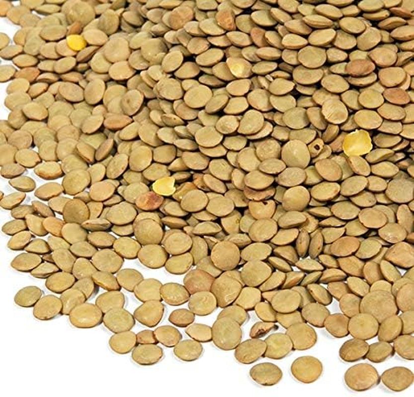 Honest to Goodness Organic Green Whole Lentils, 5Kg - a Subtle Earthy Flavour and Texture. Plant Based Protein Source. from Winter Soups to Hearty Salads. image number 4